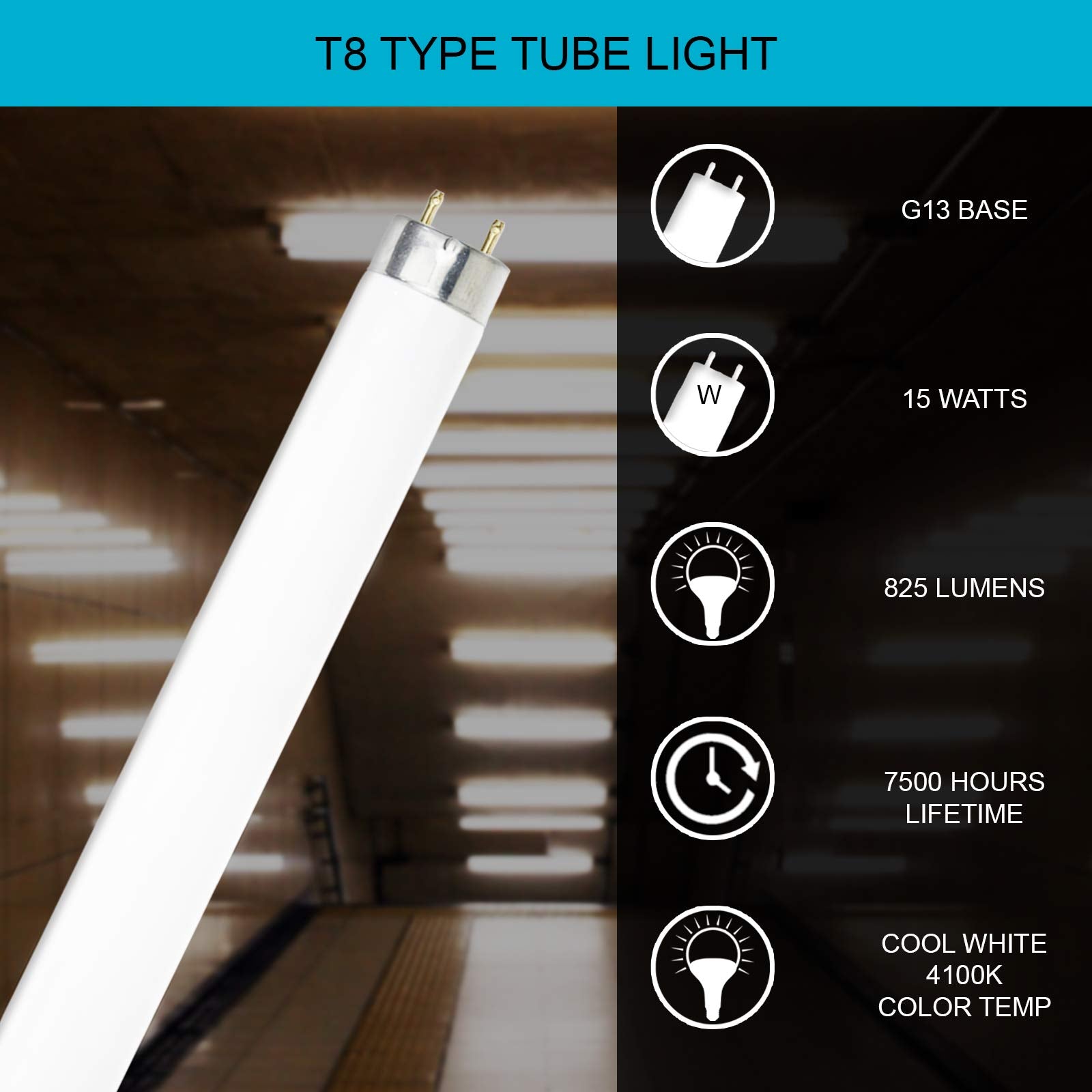 DYSMIO F15T8-CW 15W T8 Straight Tube, Medium Bi-Pin Base, 4100K Cool White, Pack of 8