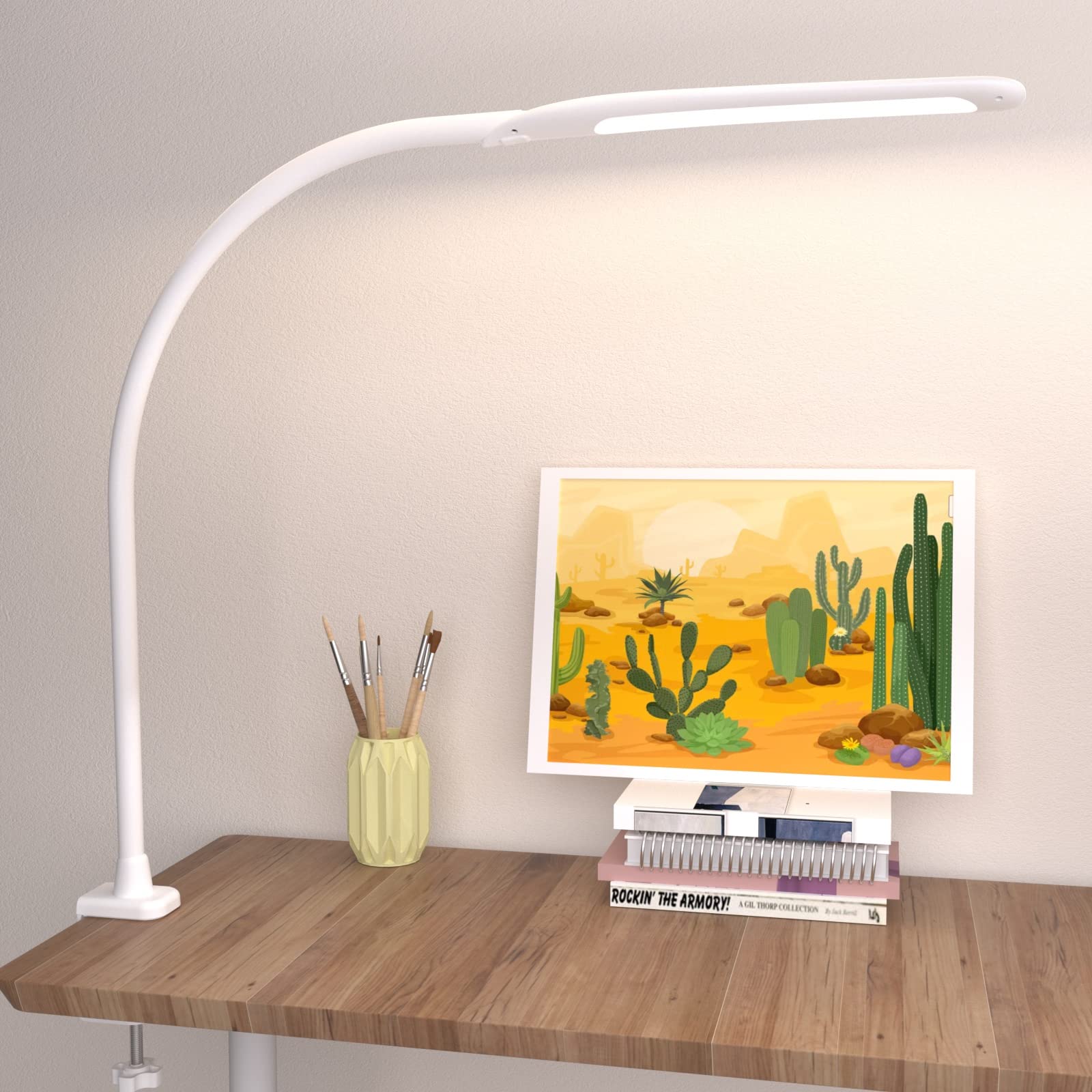 LED Desk Lamp with Clamp,Flexible Gooseneck Clamp Lamp,Dimmable,Touch Control 3 Color Modes,Eye-Care Table Light with Adjustable