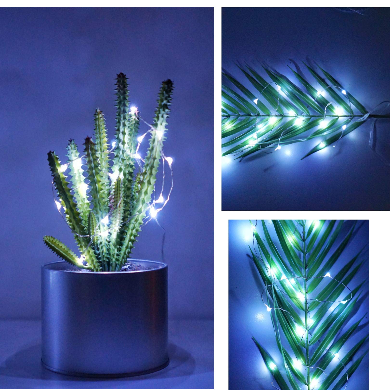 NiniTe LIGHTS 24 Pack Fairy Lights Battery Operated 20 LED Mini String Lights 6.6ft Silver Wire Cool White