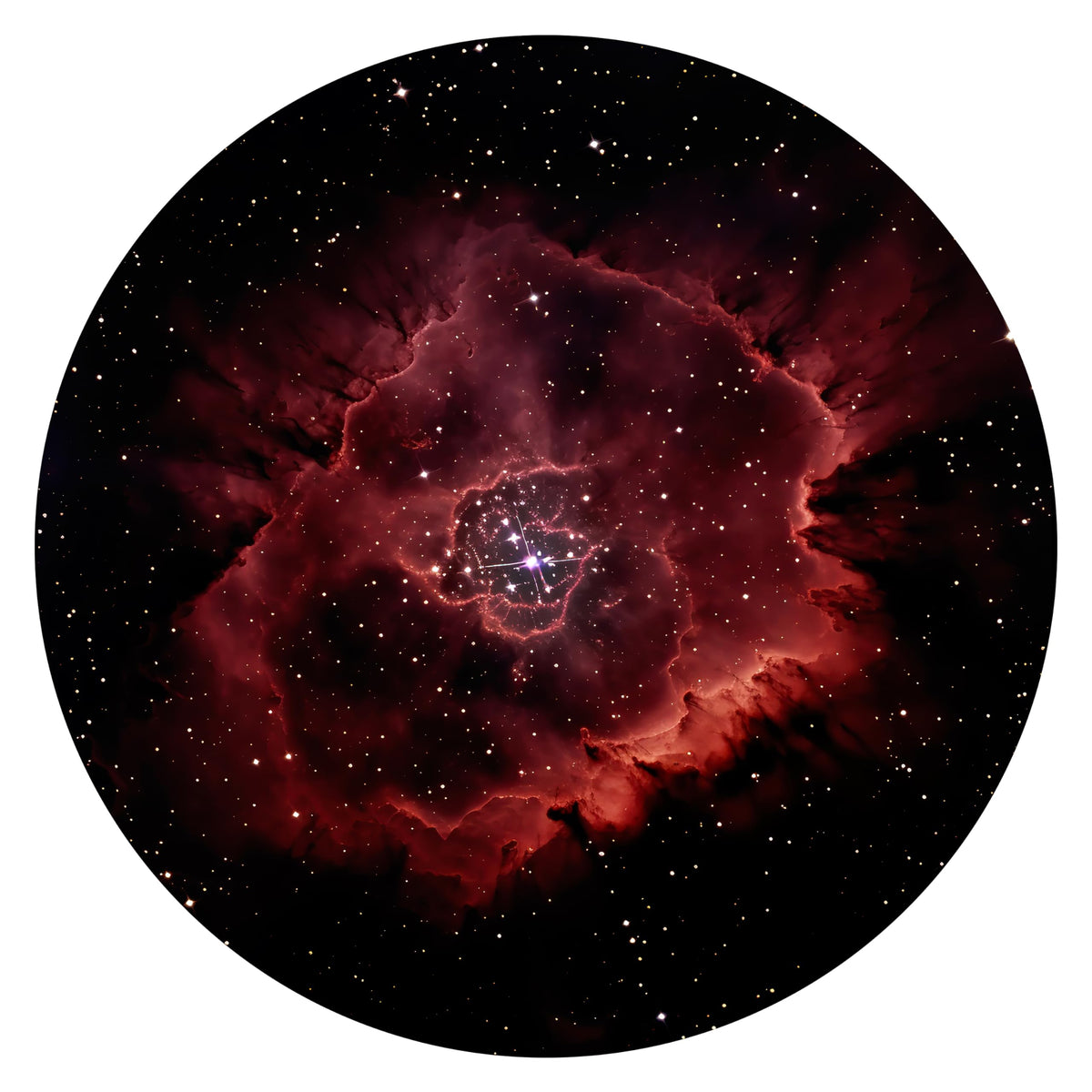 Orzorz Slide Discs Galaxy Night Light Plus Home Planetarium Projector (Work Star Projector Plus) (Rosette Nebula)
