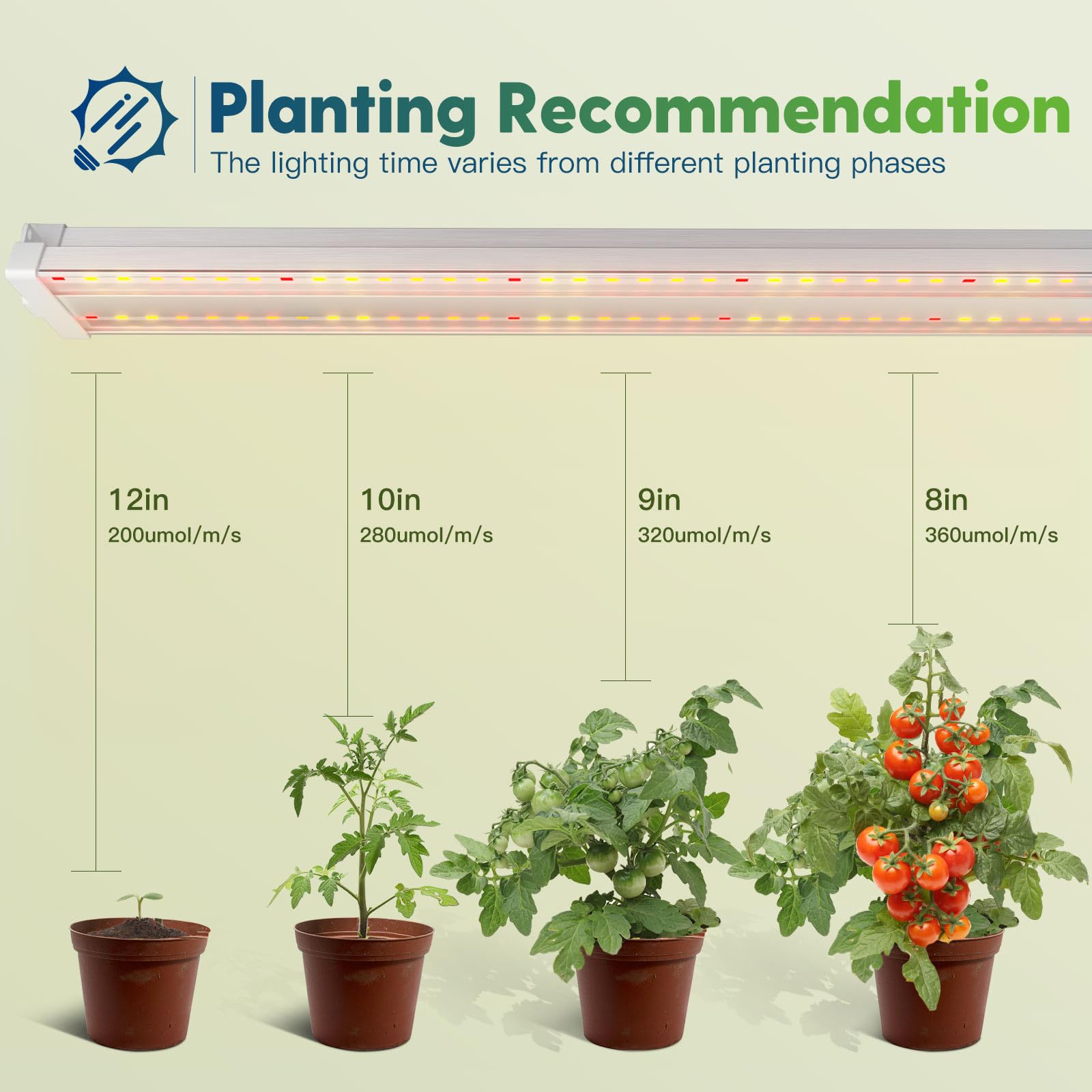 Freelicht 1 Pack 4Ft Led Grow Light With Timer, 60W (350W Equivalent), Sunlike Full Spectrum Integrated Plant Light For Hydropon