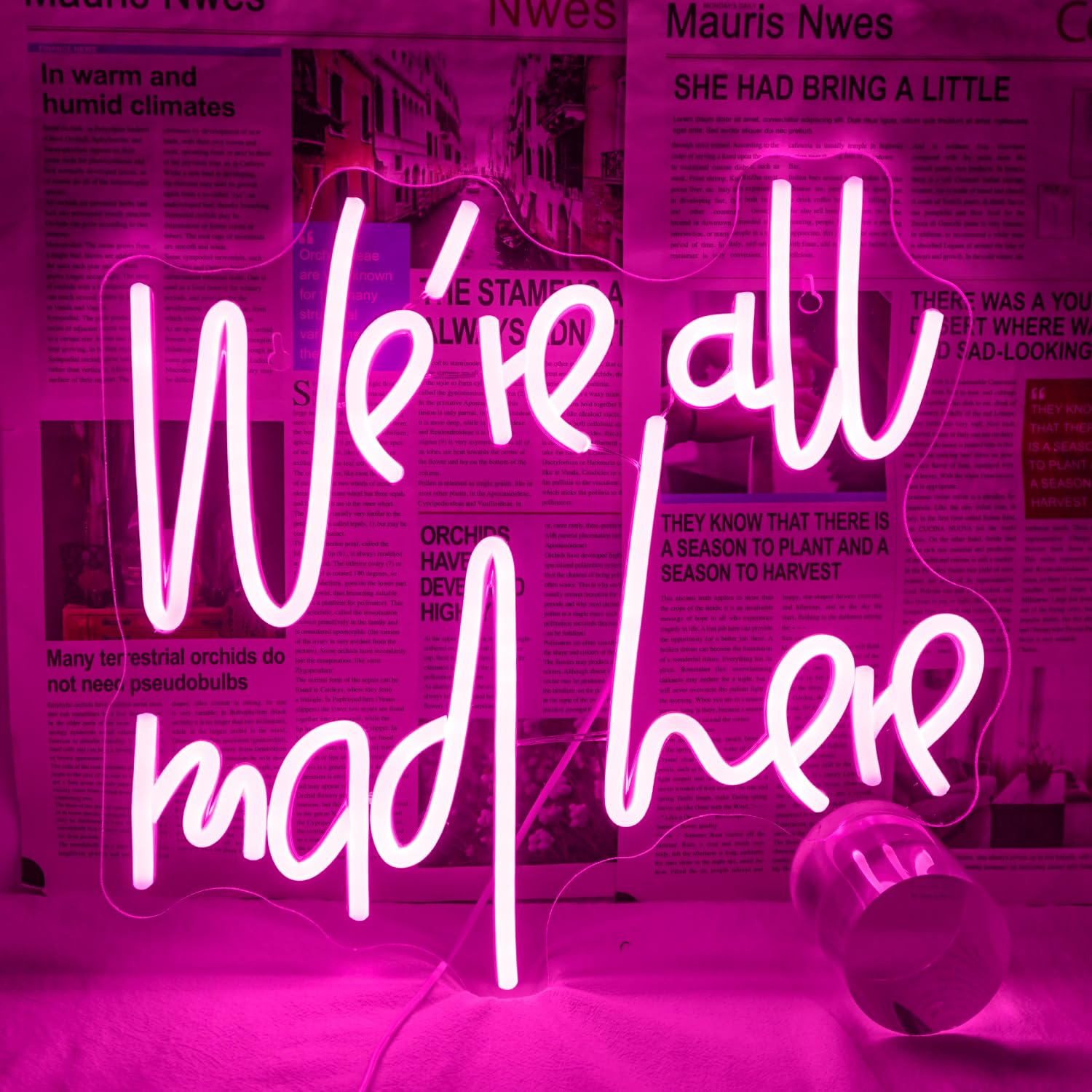 WLHOPE Neon Sign for Wall Decor - inWere All Mad Herein - Pink Acrylic - 16.5 x 7.3 inches - Perfect for Parties and Home Decor