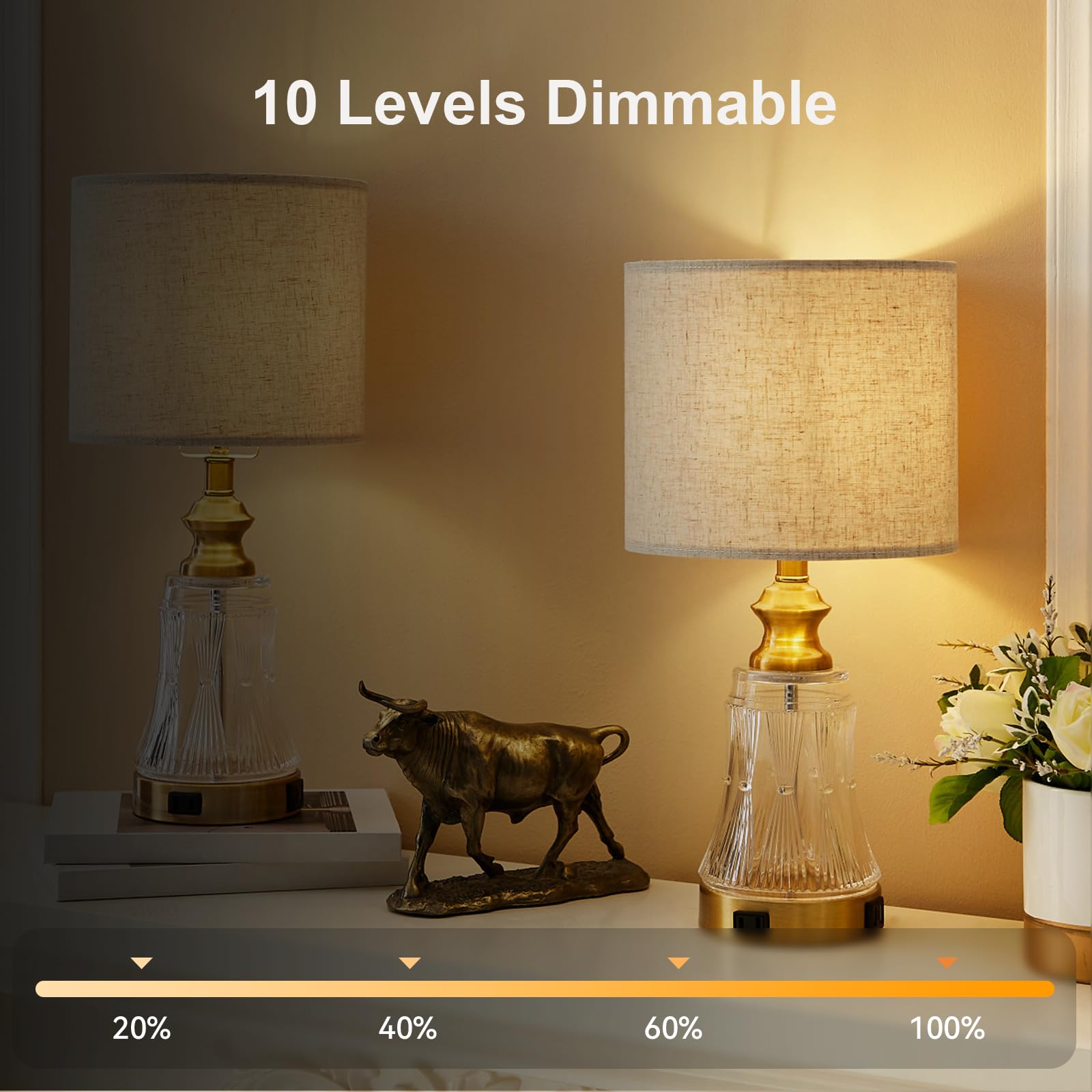 Funlenry Rechargeable Light Bulbs With Remote - E26 Battery Operated Light Bulb For Non-Hardwired Wall Sconces, Pendant Lights E