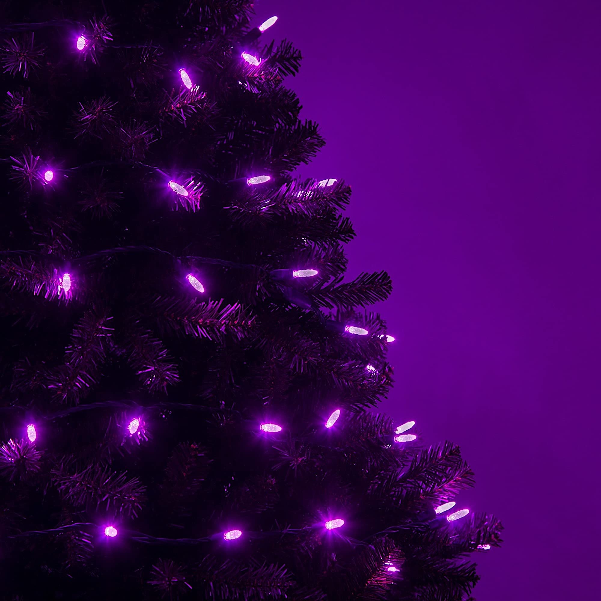 Wintergreen Lighting 24 ft M5 LED Purple Halloween Lights, 70 Count, Indoor/Outdoor, Commercial Grade, Green Wire