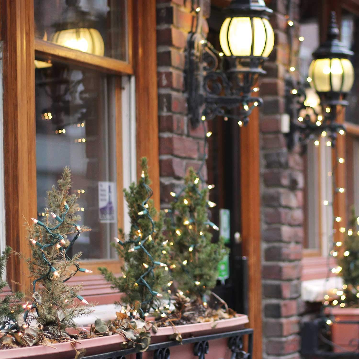 Minetom Clear Christmas Lights - 100 Count Waterproof Mini String Lights, Color Changing, 25 Feet, Green Wire