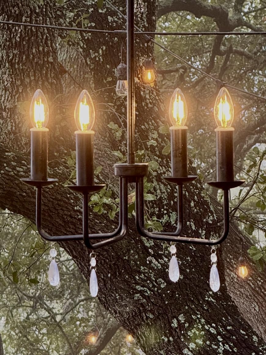 Brink House 4 Light Plug-in Chandelier, Stainless Steel, Straight Black, H19”xW17”, Low Voltage, IP65 Water Resistant
