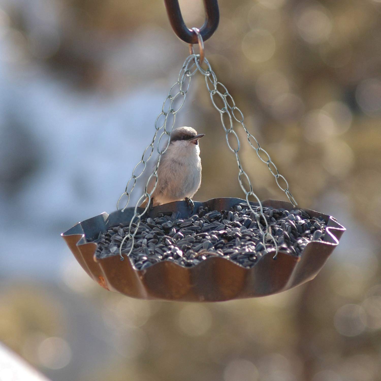 Blue Donuts Chrome Chain Extension, 36 Inches Long, Durable Metal, Strong Hold