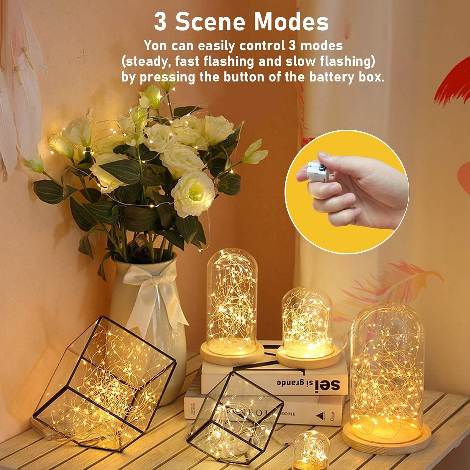 Niumowa LED Fairy Lights - 20 Warm White LEDs, 2M Battery Operated Mini Fairy Lights for Decorations, Model CR3200