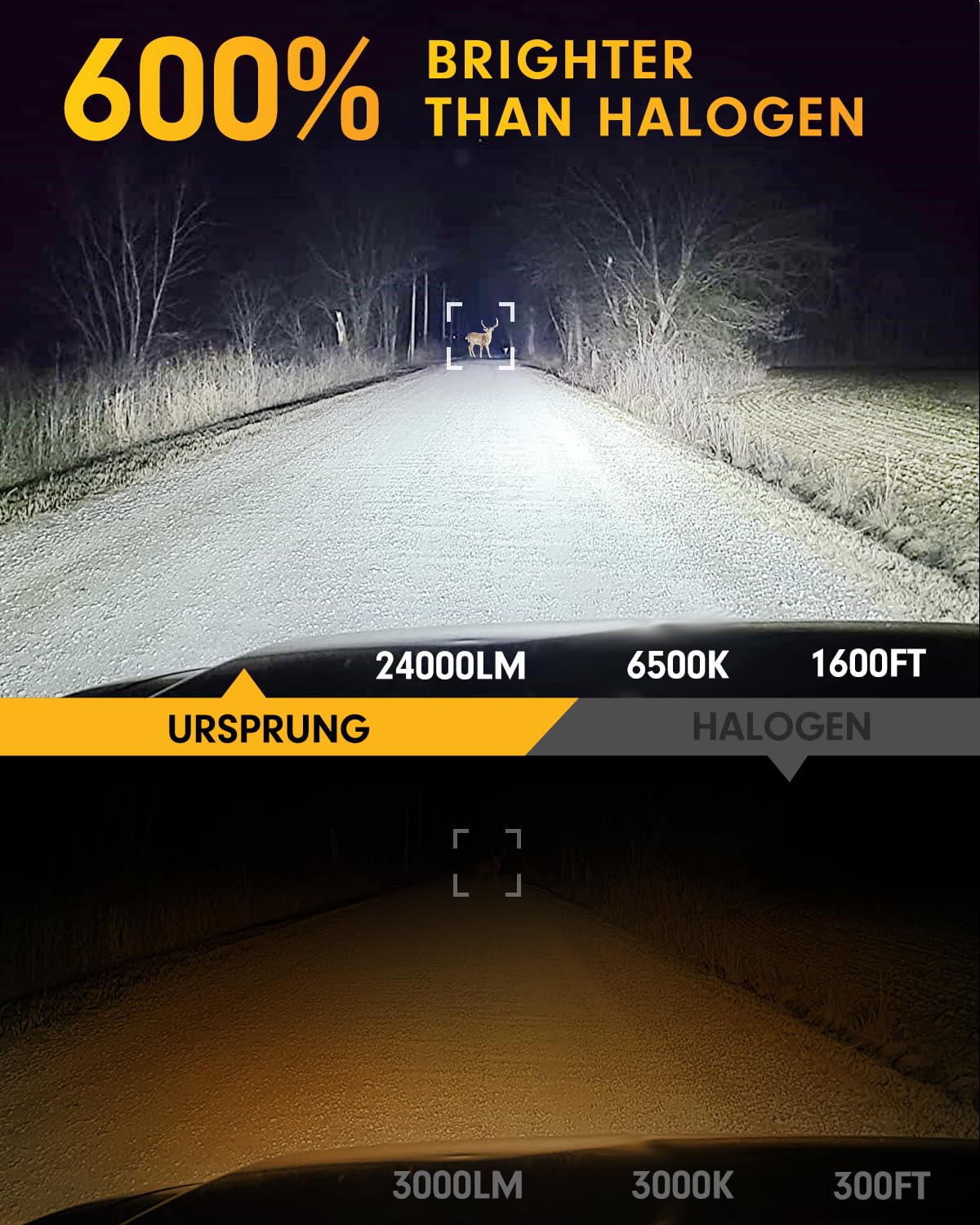 Ursprung H1 Fog Light Bulb, 6500K White, 600% Super Bright, Plug and Play, Pack of 2