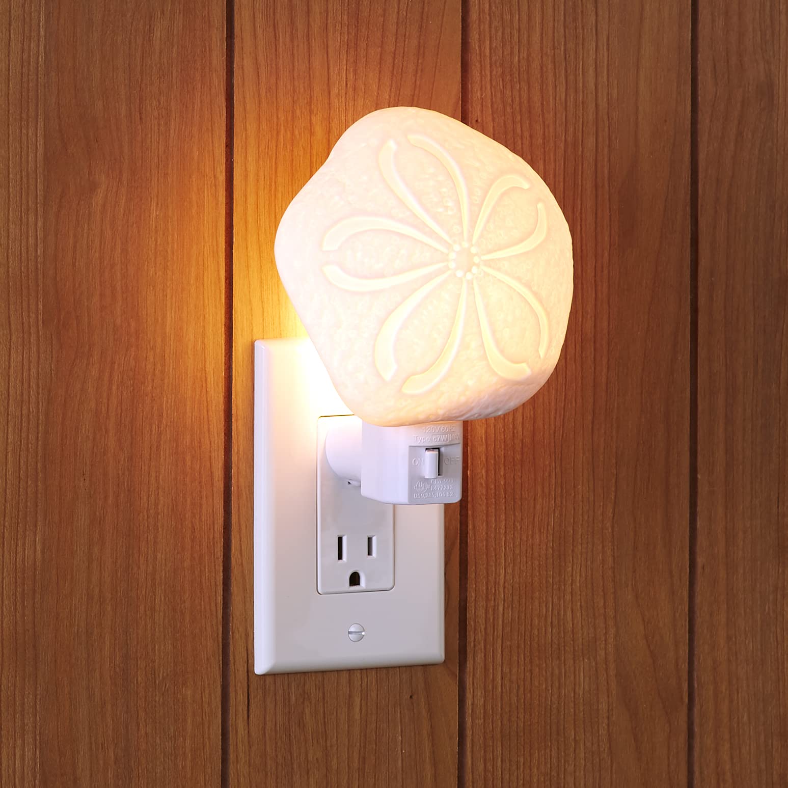 Coastal Night Lights - Sand Dollar
