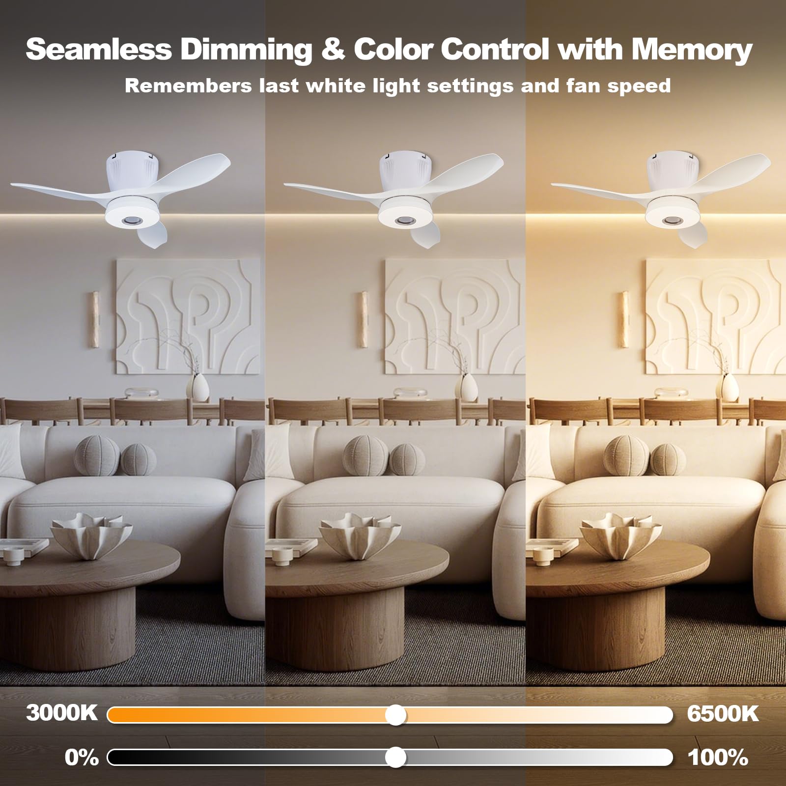 WVMNQO RGB Ceiling Fan with Bluetooth Speaker, 21in Low Profile, Dimmable Light, White, Model LEC016R