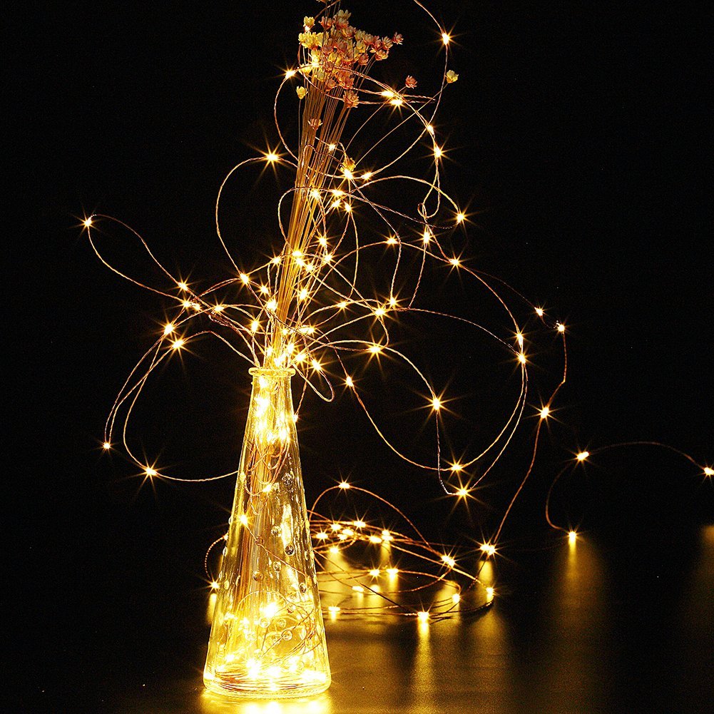 TingMiao Warm White Fairy Lights 100 LED String Lights with Remote, 2 Pack, 33ft, Waterproof, Model TM-SL100-WW