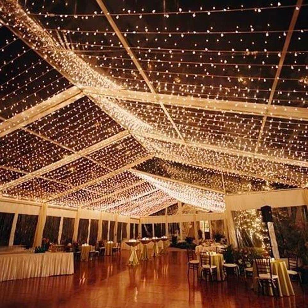 Novelty Lights 24-Pack 25 Feet 50 Light Warm White Led Christmas Lights White Wire, Connectable Mini String, Indoor/Outdoor, Com