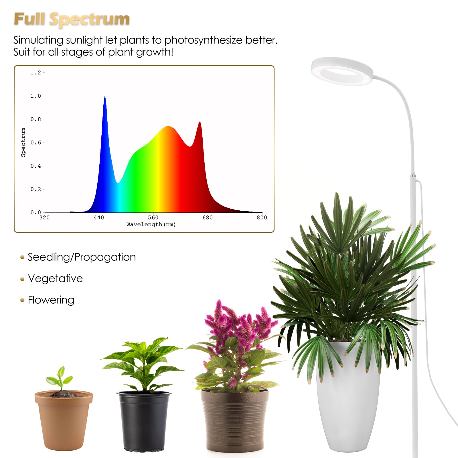 Glowrium Grow Lights For Indoor Plants, 20W Full Spectrum Led Grow Light Floor Lamp With Stand Adjustable Height And Angle, Black Plant Light With 3/9/12H Timer White