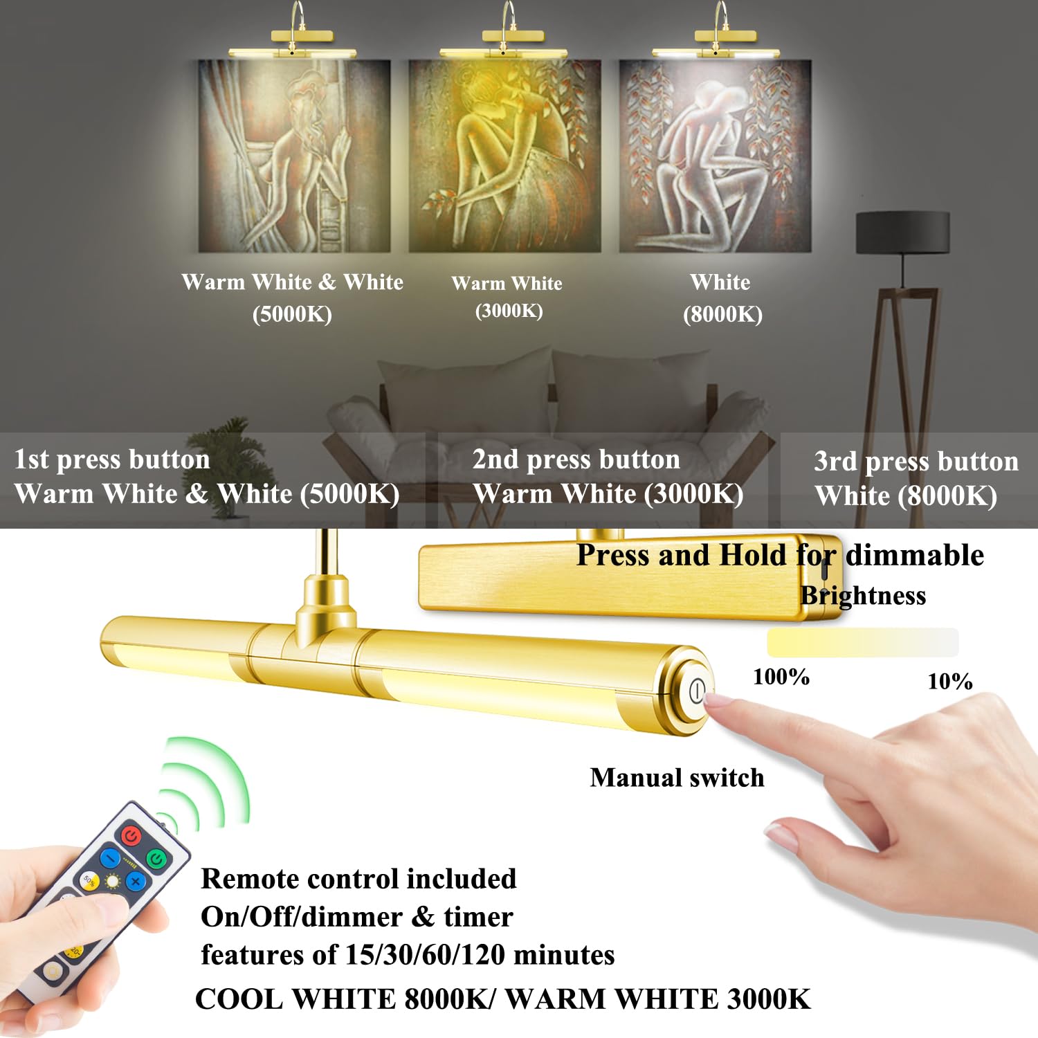 Bigmonat Wireless Picture Light For Paintings, Dimmable Dartboard Light With Remote And Timer, Rechargeable Battery Operated Dis