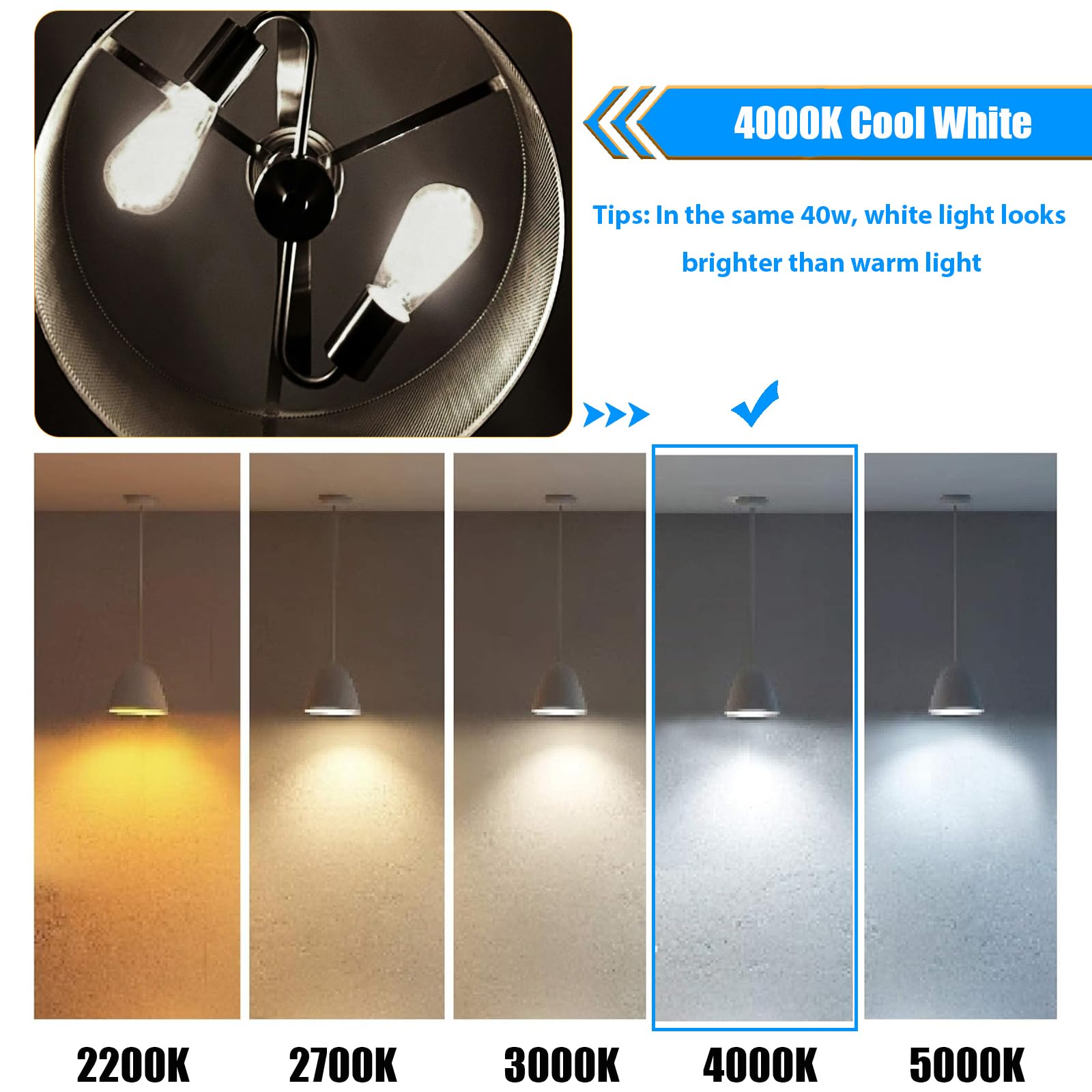 Winsaled 12 Pack 4000K Cool White Dimmable Led Light Bulbs 40W Equivalent, E26 Base Edison Bulbs 40 Watt, Vintage 4W Led Bulbs,