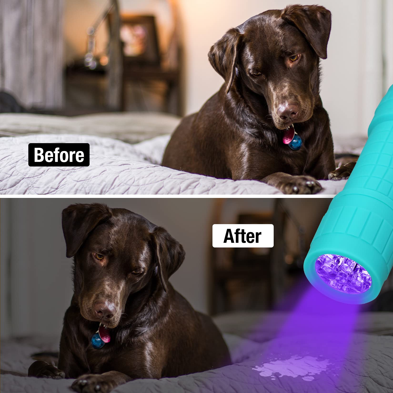 Everbrite Black Light Flashlight, Uv Mini Flashlight, 9-Led 395Nm Detector For Pet Urine, Stains, Scorpions, 18 Aaa Batteries In