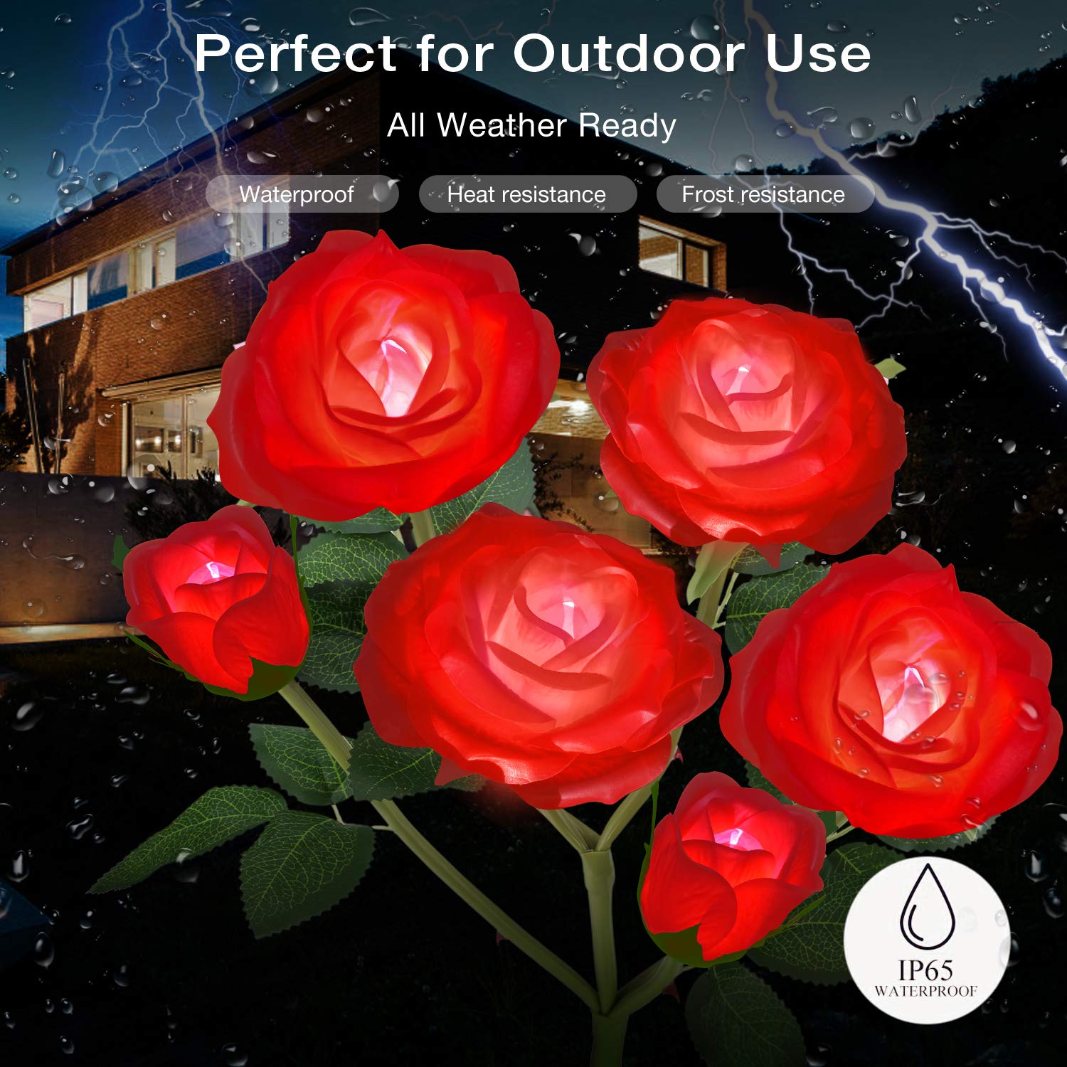 TYNLED Outdoor Solar Garden Stake Lights, 6 Rose Flowers, Waterproof, 1 Pack, Red, Plastic