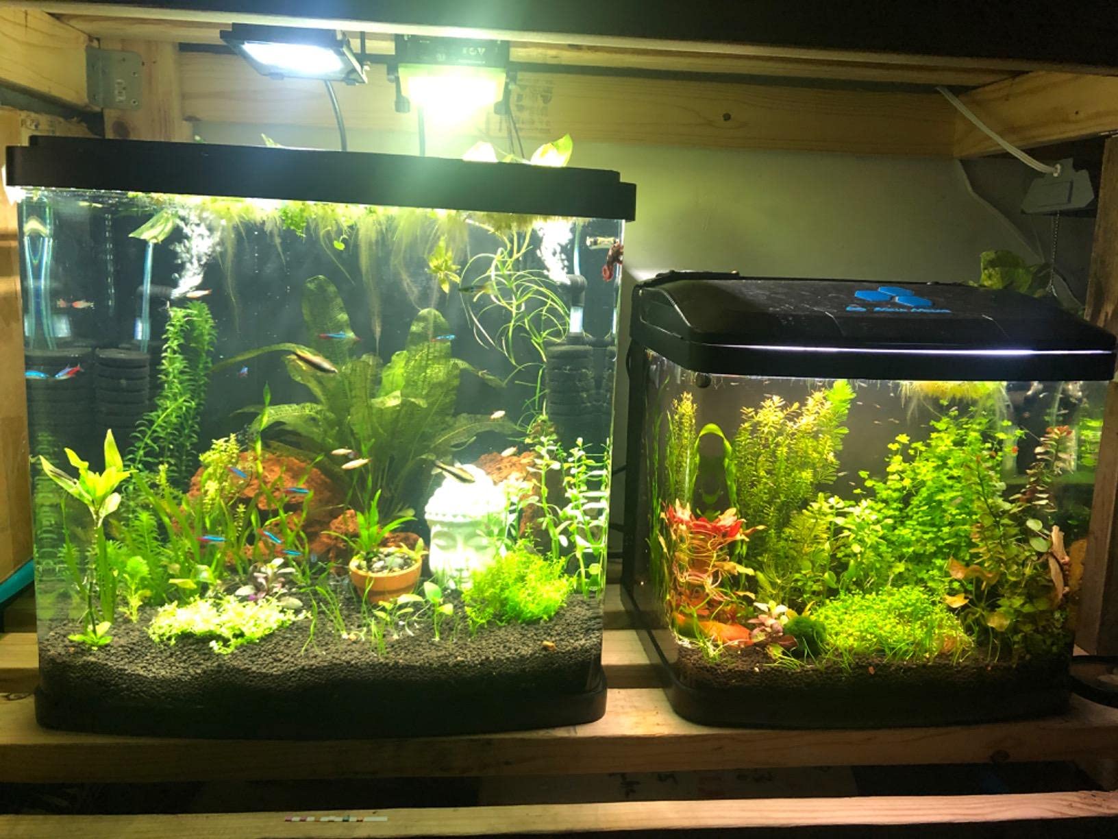 Hannahong 10W Led Flood Light With Switch, Ip66 Waterproof, Cool White Outdoor Security Light