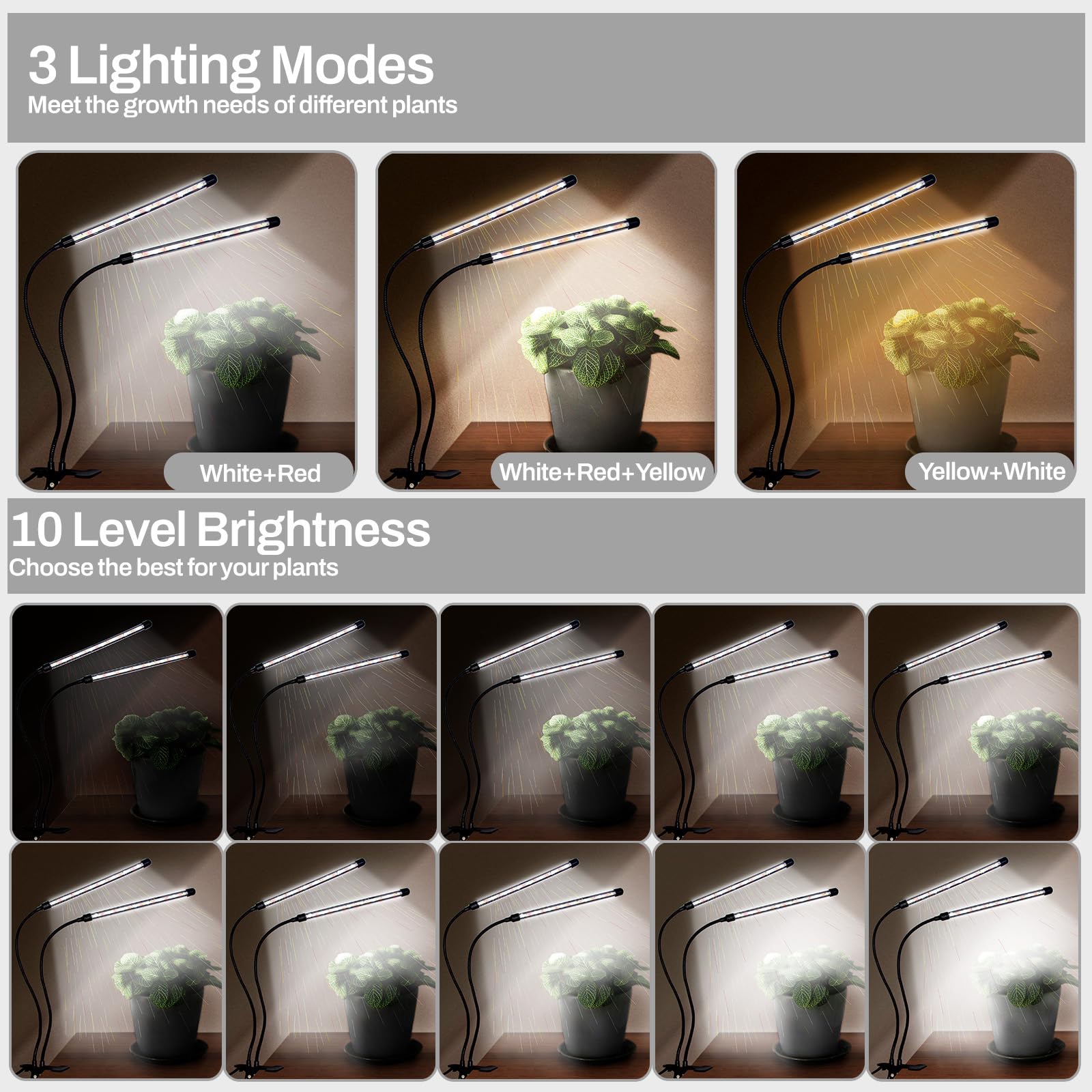 LEOTER Grow Lights for Indoor Plants - 96 LED Full Spectrum, 5-Level Dimmable, Auto On/Off, 2 Heads, Black, Model: light-002