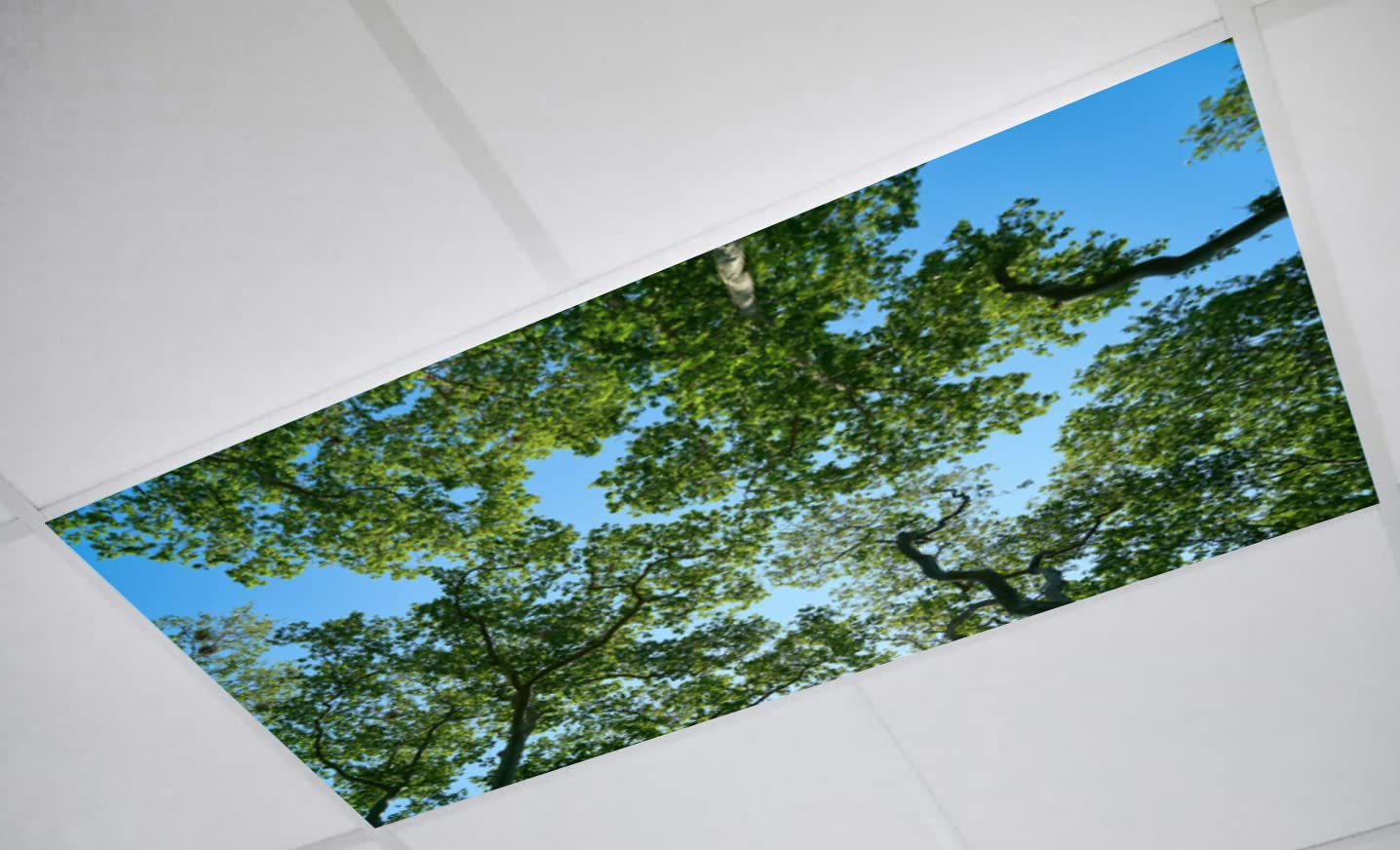 ShadeMAGIC 4 Pack Fluorescent Light Covers - 2x4 Tree Design Ceiling Light Diffuser Panels for Classrooms & Offices - White