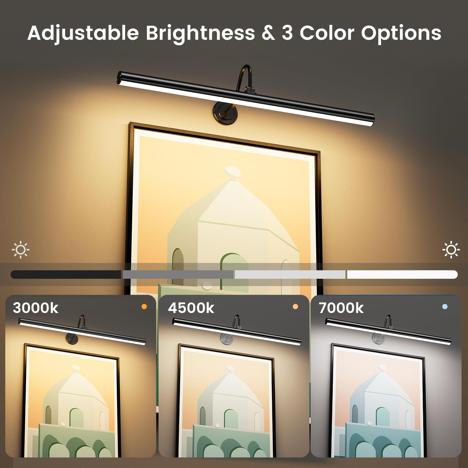 Bridika 2 Pack 23.6In Picture Lights For Wall Battery Operated With Remote, 3 Color Modes And Dimmable Art Lighting For Painting
