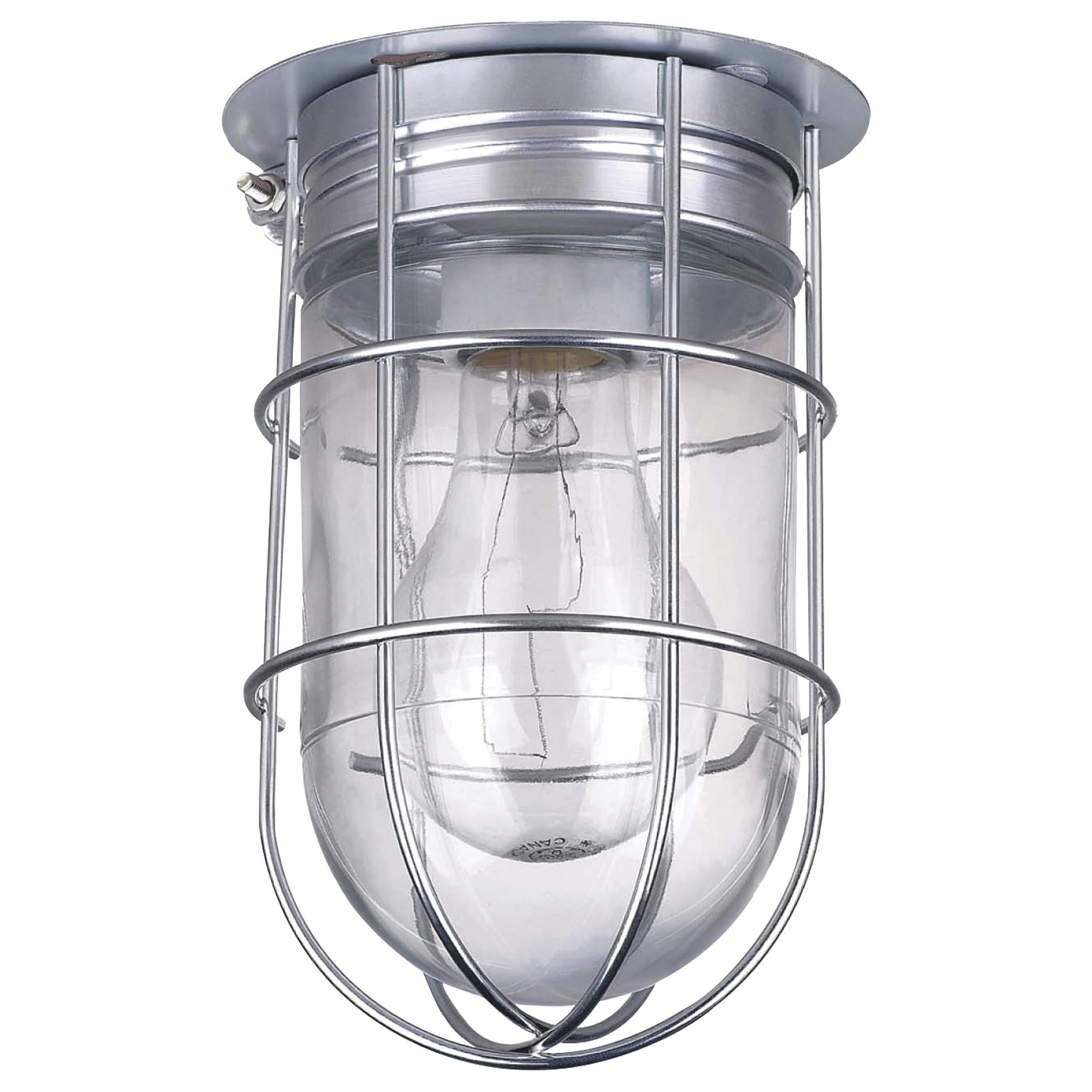 Canarm Ceiling/Wall Barn Light - Metal Cage, 120V, Model BL04CWG, Silver, With Cage