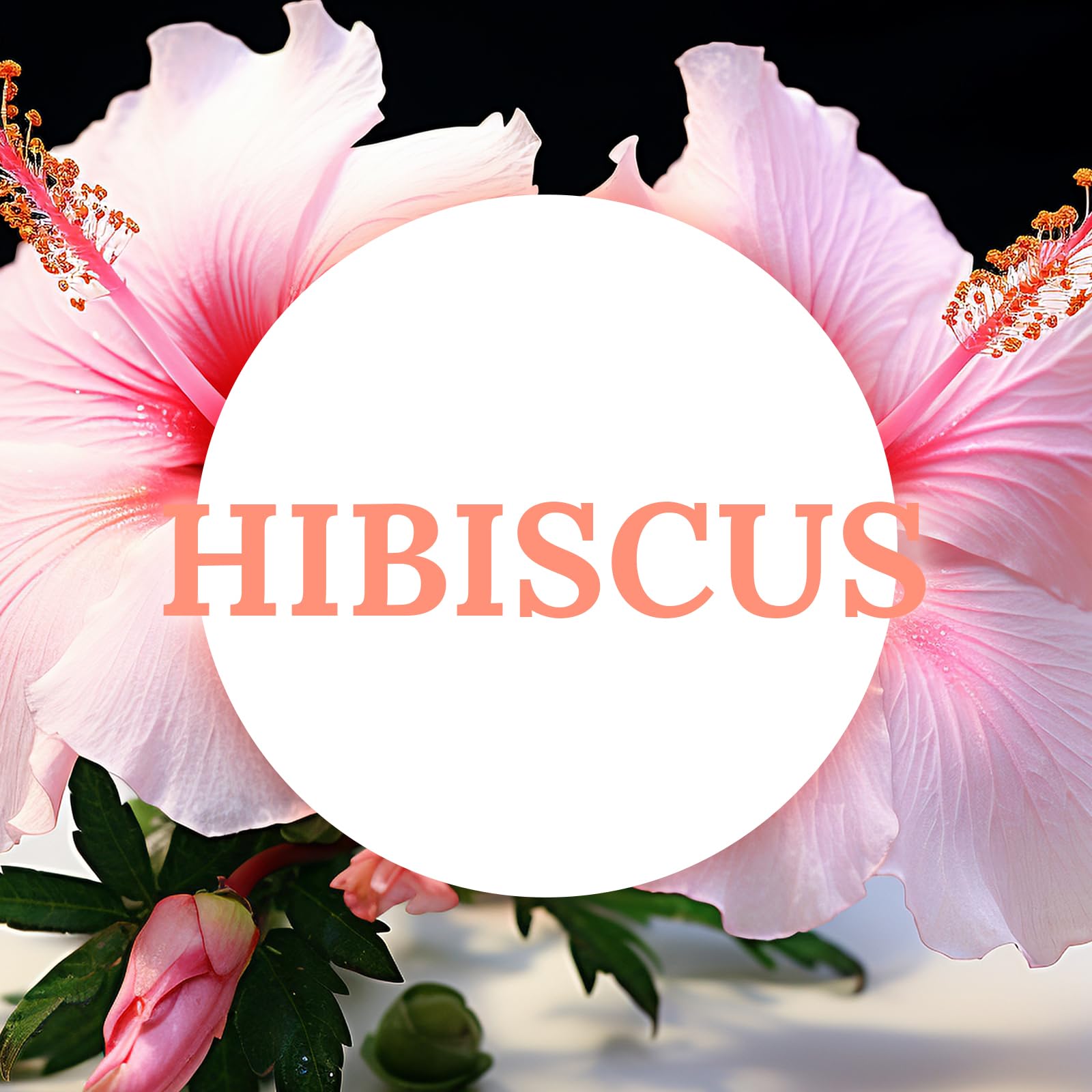 Deybby Natural Hibiscus Orchid Scented Soy Wax Tealight Candles Bulk, Aromatherapy Luxury Tea Candle Set Of 12-4 Hour Burning Great Gift