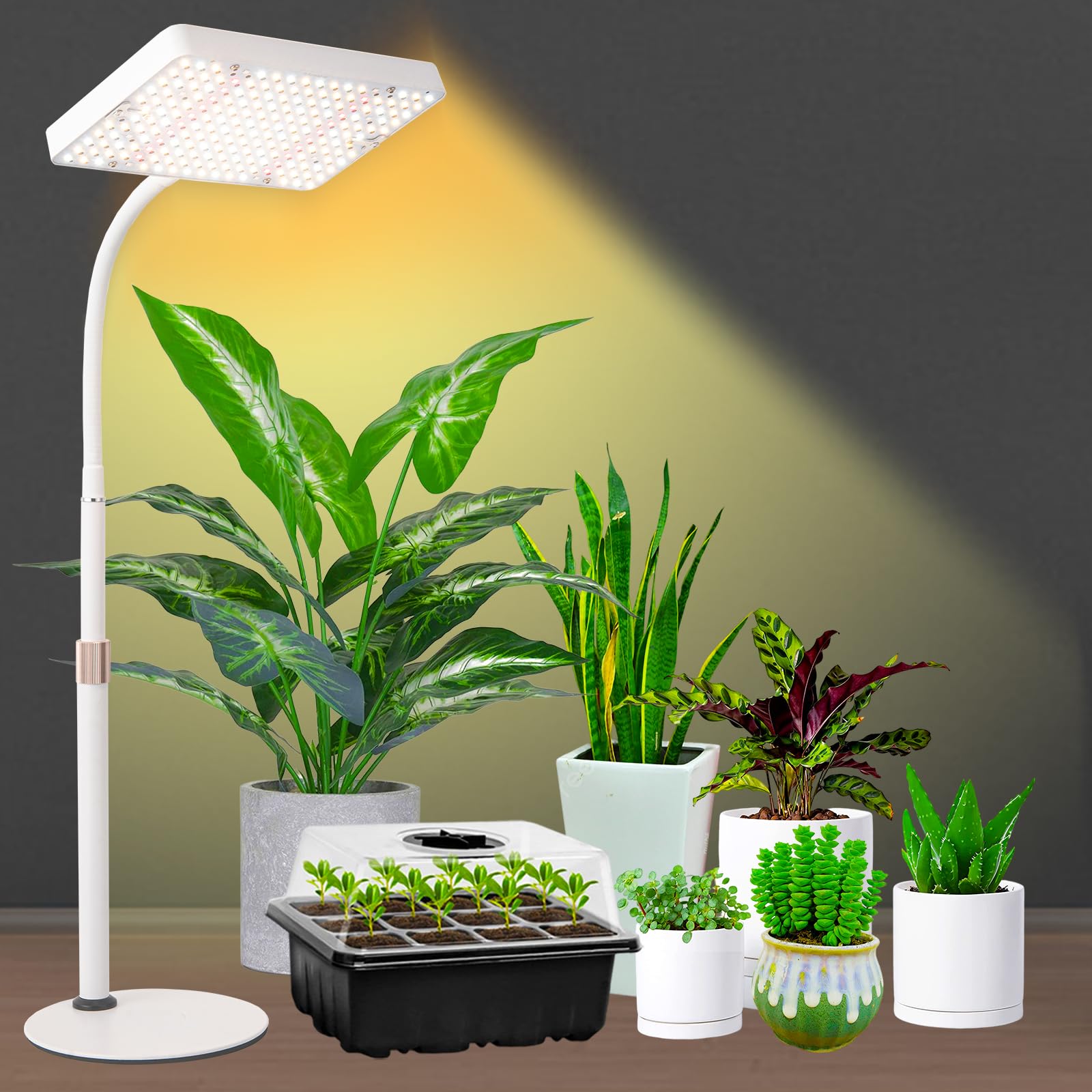 GroCruiser 2000 Lumen Desk Grow Light - 25W Full Spectrum UV-IR, Height Adjustable 16-24, On/Off Switch, Daisy Chain, White Base