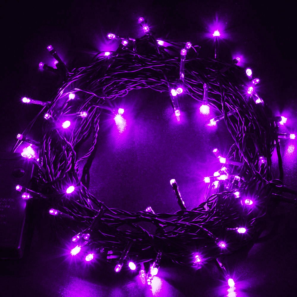 Super Z Outlet 30 Mini Bulb Led Battery Operated Fairy String Lights In Purple For Valentines Day, Romantic Wedding, Home Decoration Room Lighting, Christmas, Crafts (158&quot; Inch Long String)