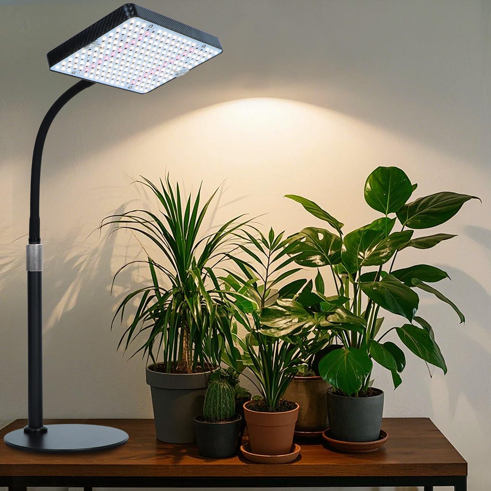 Orchbloom Tabletop Grow Light 25W with Timer, Full Spectrum, Black, Model Zinqolay for Indoor Plants & Bonsai