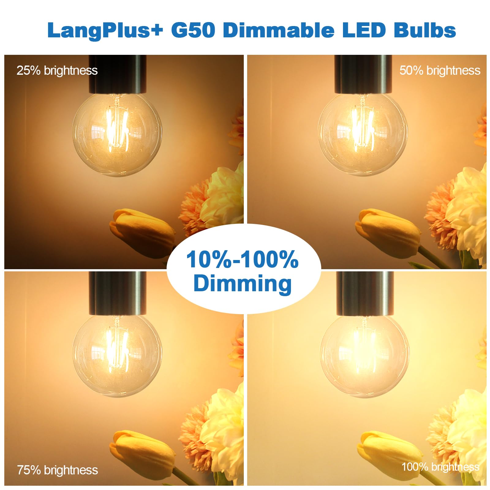 Langplus+ Led Edison Bulbs Dimmable G16.5 6W Equal 60W 110V-130V E26 Led Filament Bulb Warm White 2700K Globe Light Bulbs For Ce