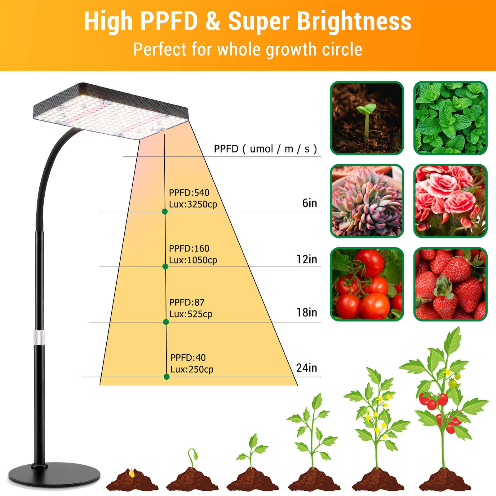 FECiDA Desk Grow Light for Indoor Plants, 2000 Lumen Full Spectrum LED, Adjustable 16-24, Black Case with On/Off Switch