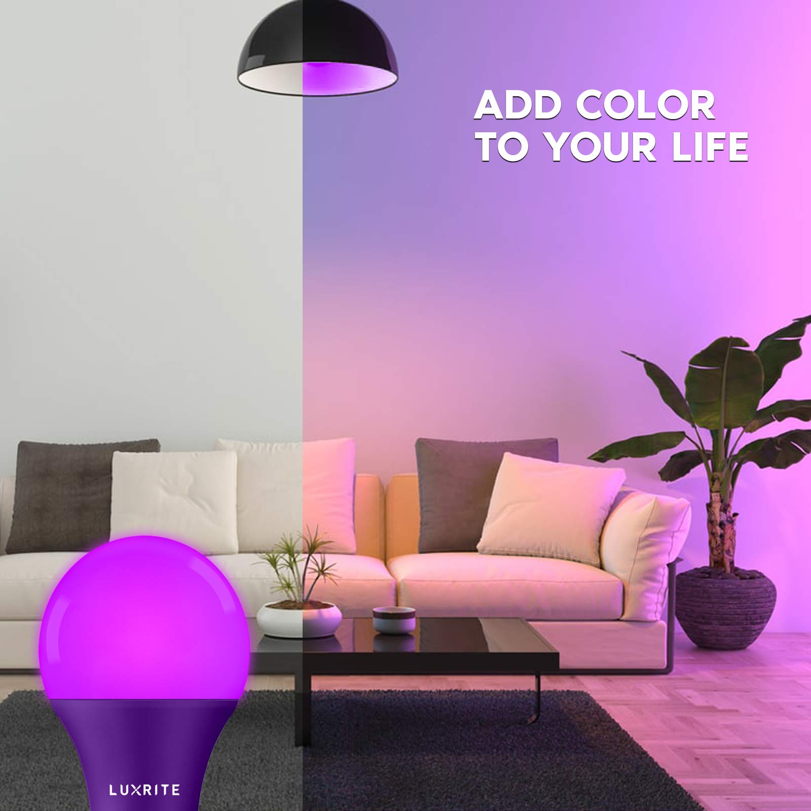 LUXRITE A19 LED Purple Light Bulbs, 60W Equivalent, Non-Dimmable, E26 Base, 3 Count, Indoor/Outdoor Lighting