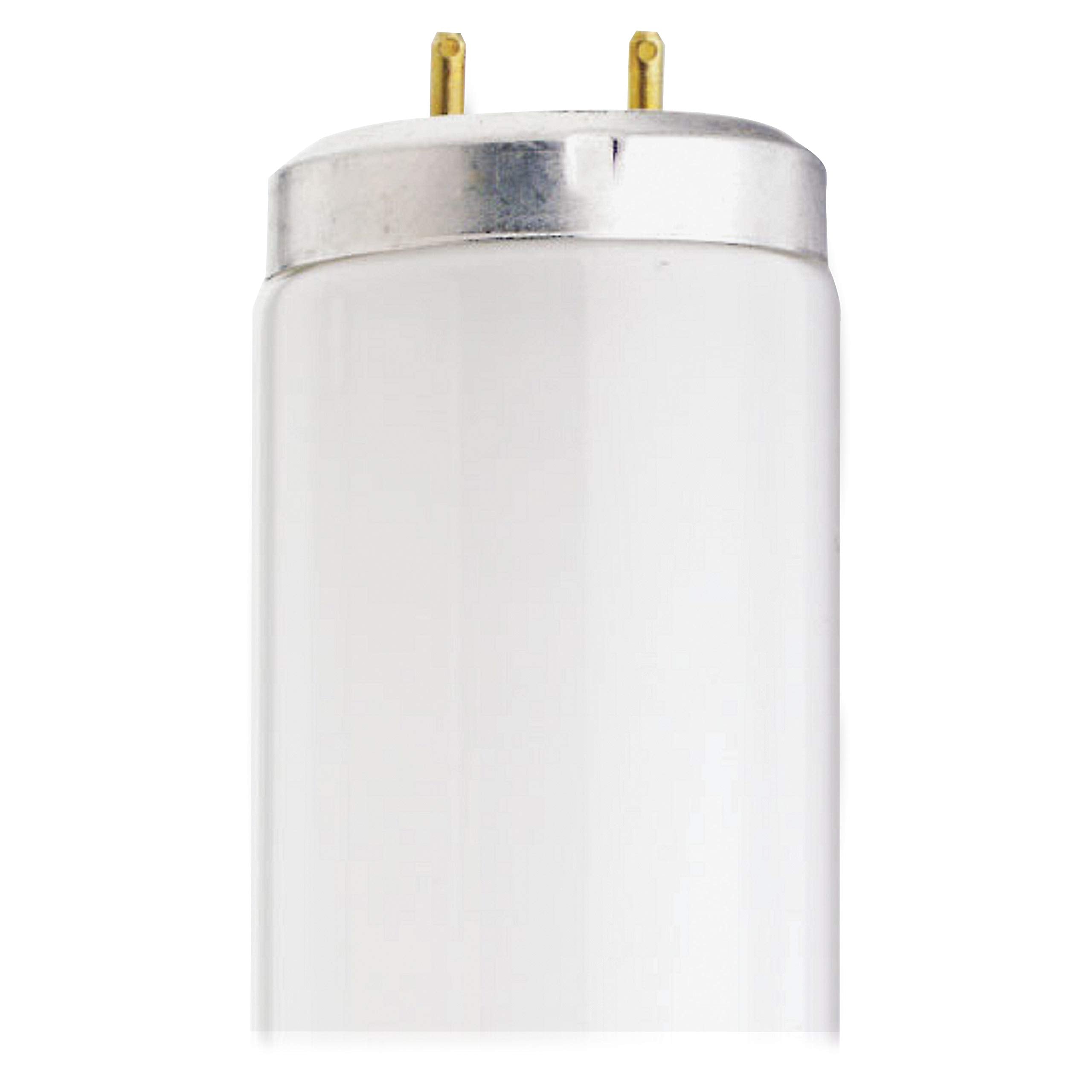 Satco S6637 T12 40W Light Bulb Fluorescent Tube, 48'', Cool White, 30 Per Carton