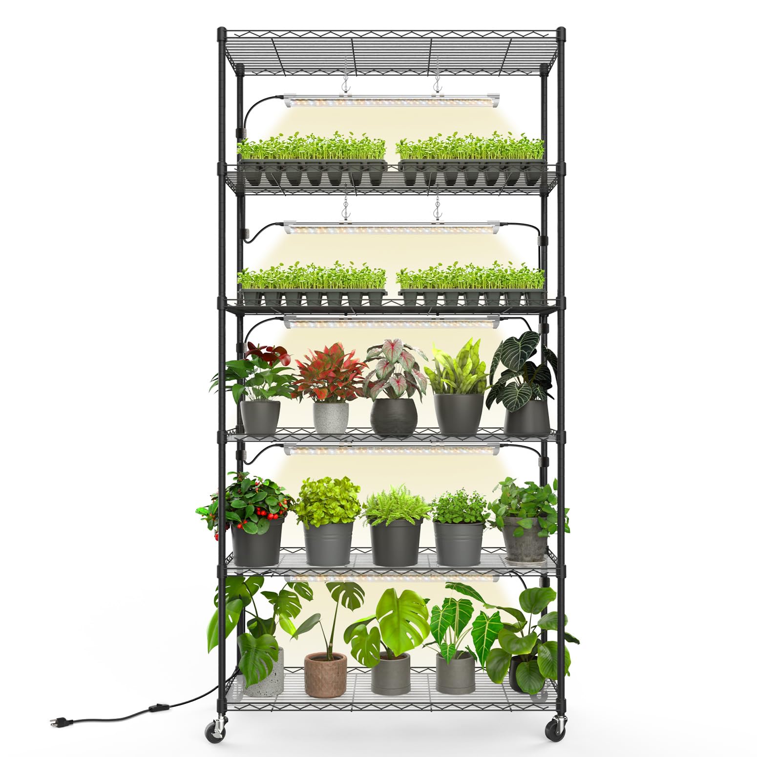 BBand Plant Shelf with Grow Light  Metal Plant Stand with Adjustable Rack and Wheels  5 Pack T8 Full Spectrum Grow Light Band for Indoor Plants  Seed Starting  Seed Tray  35.4x13.8x71