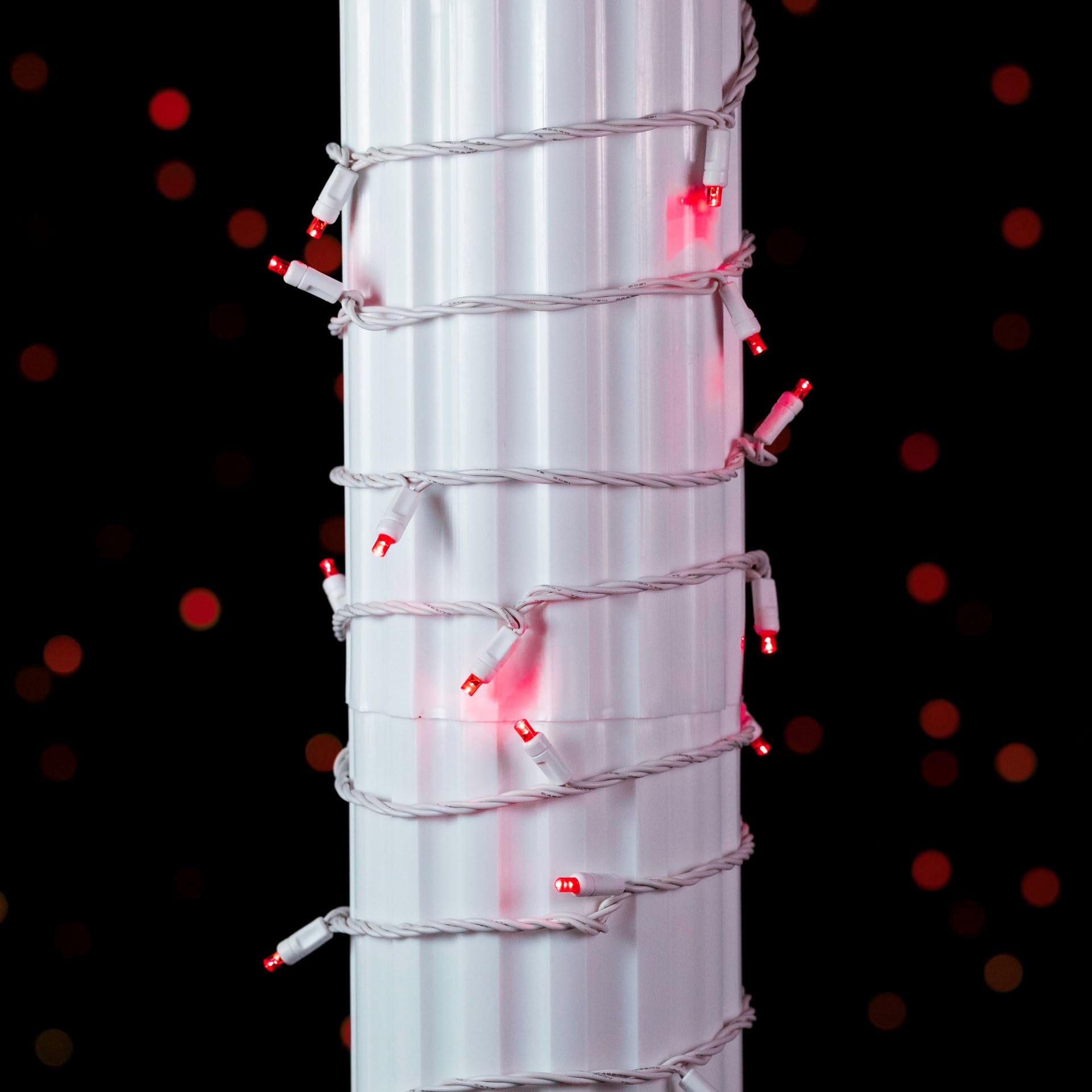 Novelty Lights 50 Light LED Christmas Mini Light Set, 25 Feet, Red, Copper, Model CGWA50-W-RE