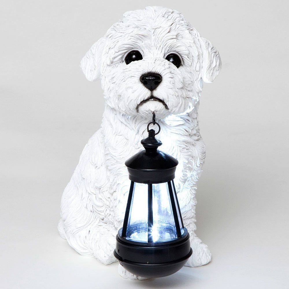 Bits and Pieces Bichon Solar Lantern - White Polyresin Dog Statue with LED Light, Model 41116 - Outdoor Garden Décor