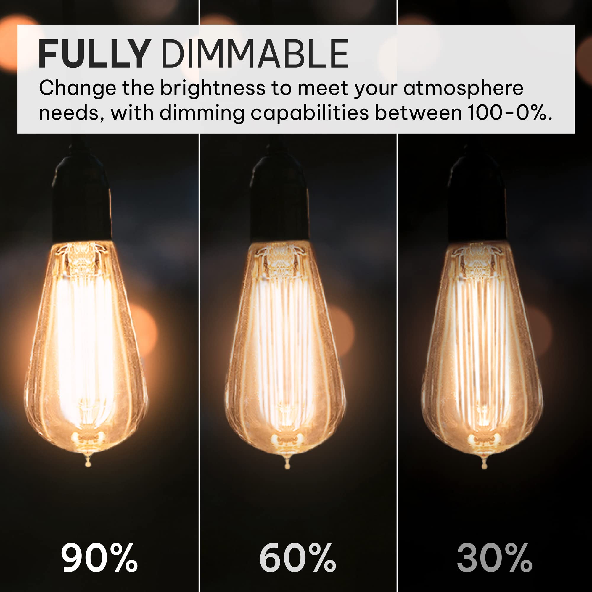 HUDSON BULB CO. Vintage Edison Light Bulbs 60W ST58, Dimmable 4 Pack, Squirrel Filament, Clear Glass, 2100K Warm Light