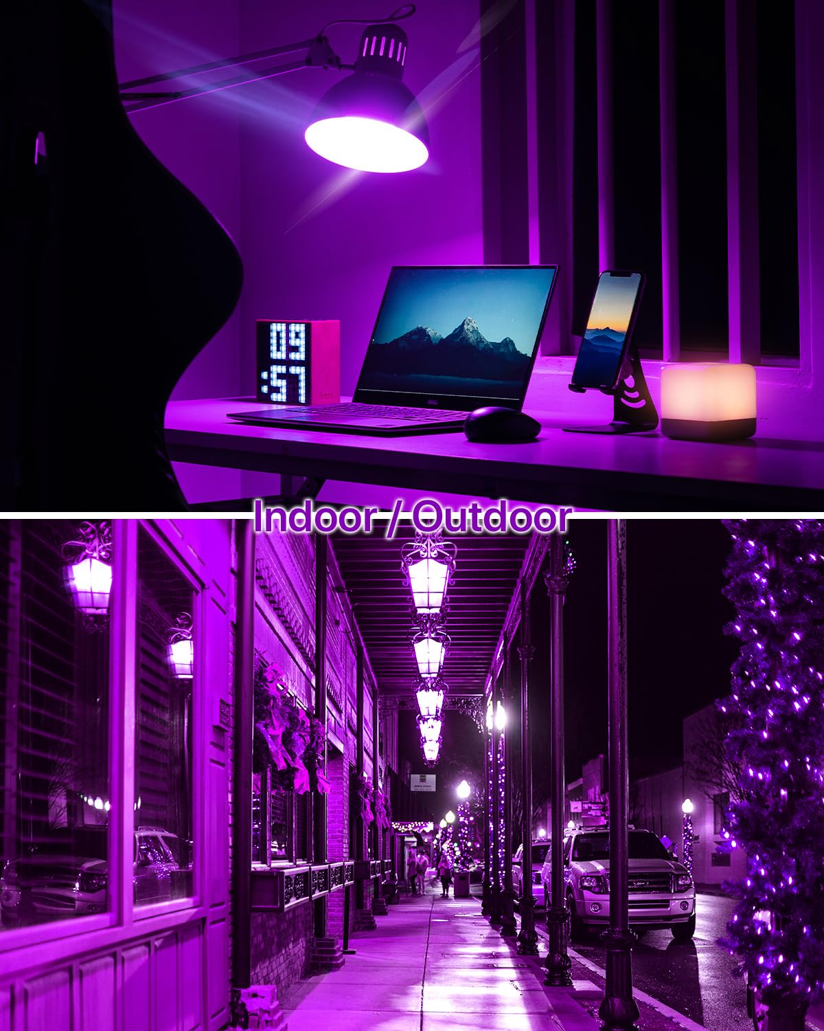 ORALUCE A15 LED Purple Porch Light Bulbs, 5W 450LM Non-Dimmable, E26 Base, 40 Watt Equivalent, 6 Pack for Halloween & Christmas Decor