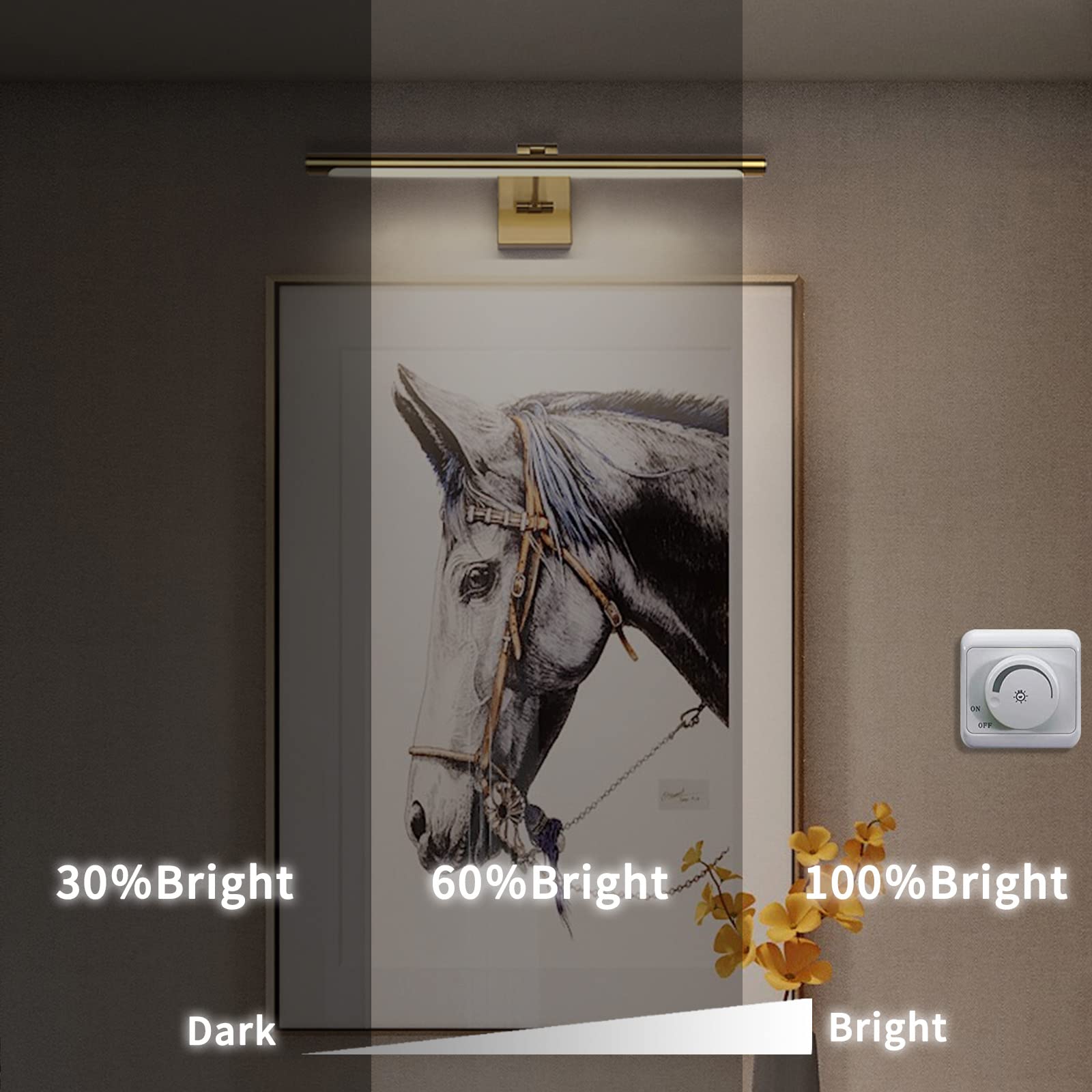 Joosenhouse LED Picture Light Fixtures Dimmable 24.4 Inches, Full Metal Artwork Display Lamp with Single Swing Arm, 14W (70W Eqv