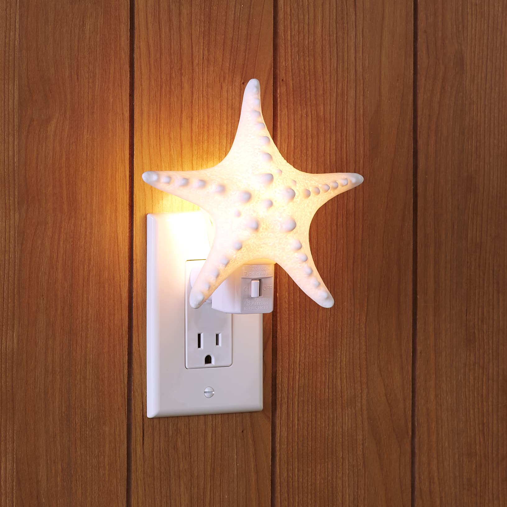 Coastal Night Lights - Starfish