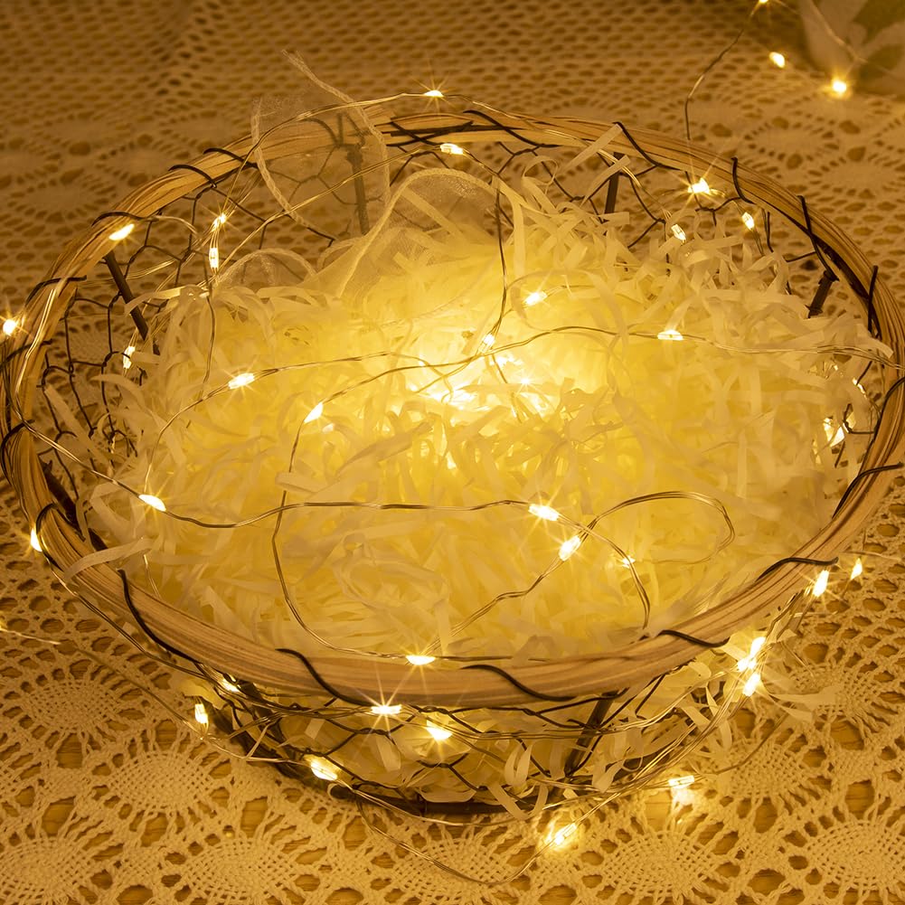 ZELUXDOT Fairy Lights, 200FT 600LEDs, Waterproof, Warm White, Silver Copper Wire, Model DS-SL-600-CTR, Remote Twinkle Light
