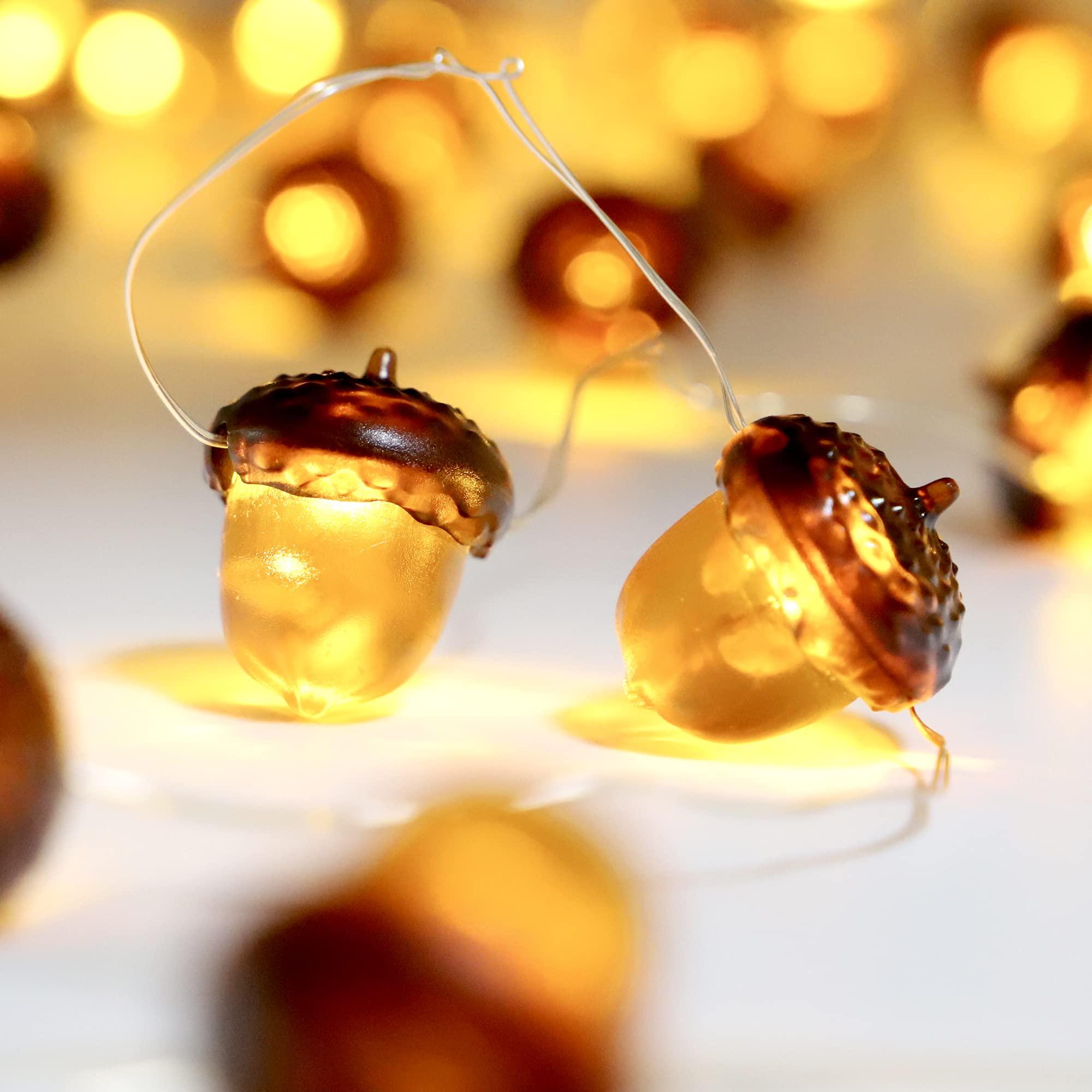 Miya Life Fall Fairy Lights Cute String Lights With Thanksgiving Decor Fall Garland With Lights Battery Operated For Fall Lights Indoor Decoration (Acorn Fairy)
