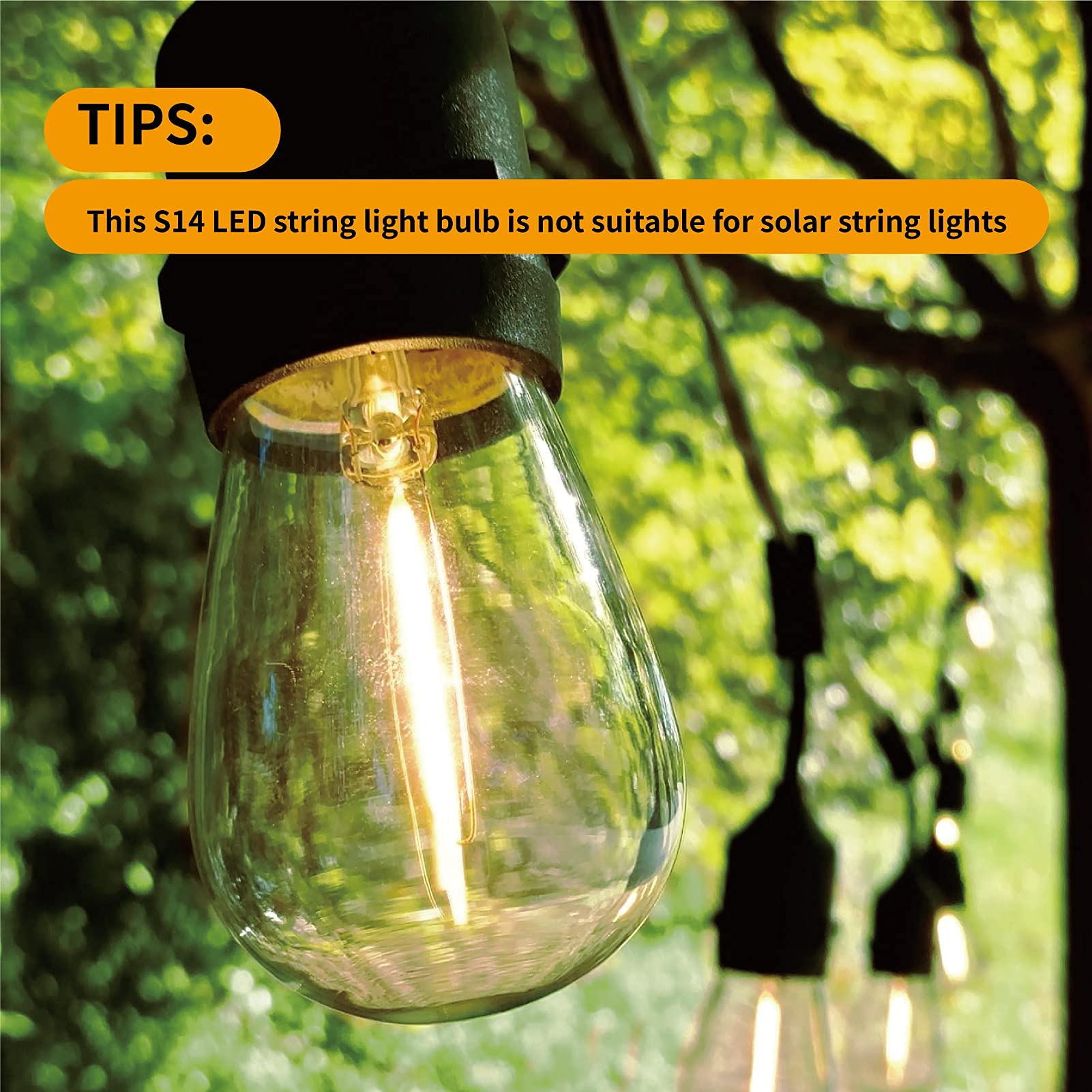 Visterlite 24 Pack Led S14 Replacement Light Bulbs, Shatterproof Waterproof 1W Outdoor String Light Bulbs, E26 Medium Base, 2200