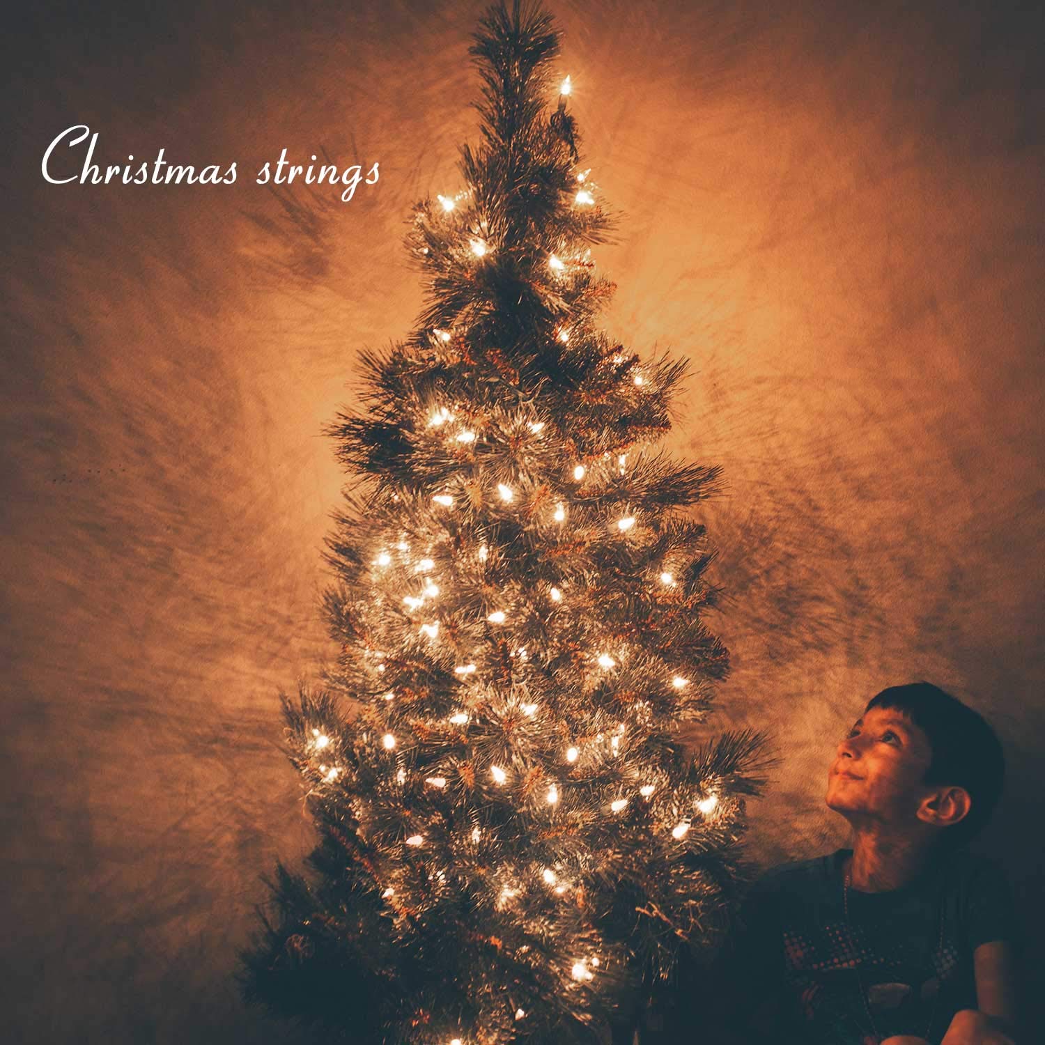 Brightown 50-Pack C7 Christmas Replacement Bulbs, C7 Clear Incandescent Bulbs For Christmas Light Strings, E12 Candelabra Base, 5 Watt, Clear