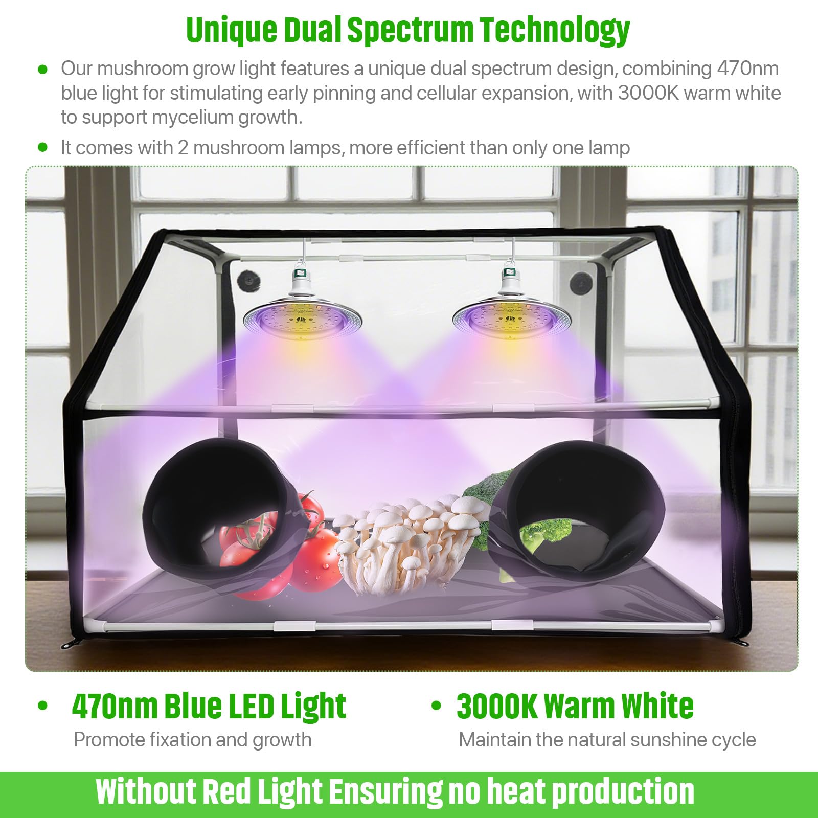 Ehaijia Large Still Air Box Mushroom Grow Set, 30"x20"x20", Aluminum Mycology Fume Hood with 360° Lights, Ideal for Indoor Growers