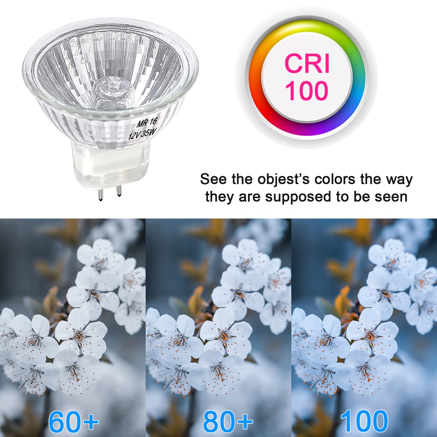 Lacnooe MR16 Halogen Bulb 35W Dimmable 12V GU5.3 Bi-pin Base Clear Glass 6 Pack Warm White