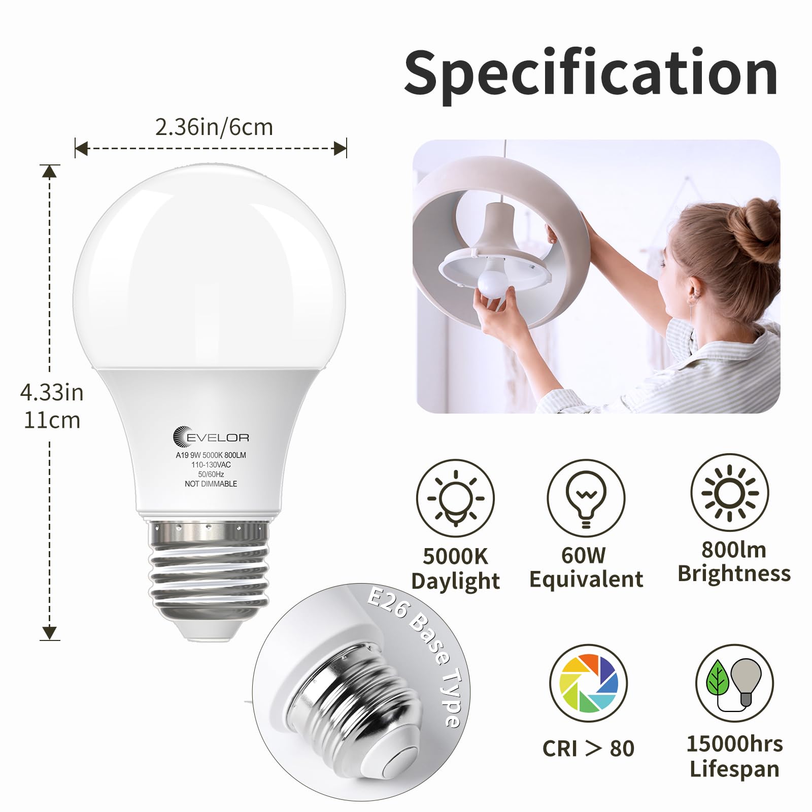 evelor A19 LED Light Bulbs 60W Equivalent, 9W, 800 Lumens, Daylight 5000K, E26 Base, 4-Pack, Non-Dimm