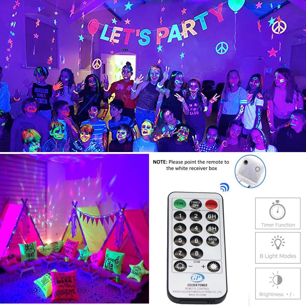 Solhice Black Light Curtain String Lights, 10ft x 10ft, 306 LEDs, Remote Control, Fluorescent Indoor Décor, Model STS-F5-300